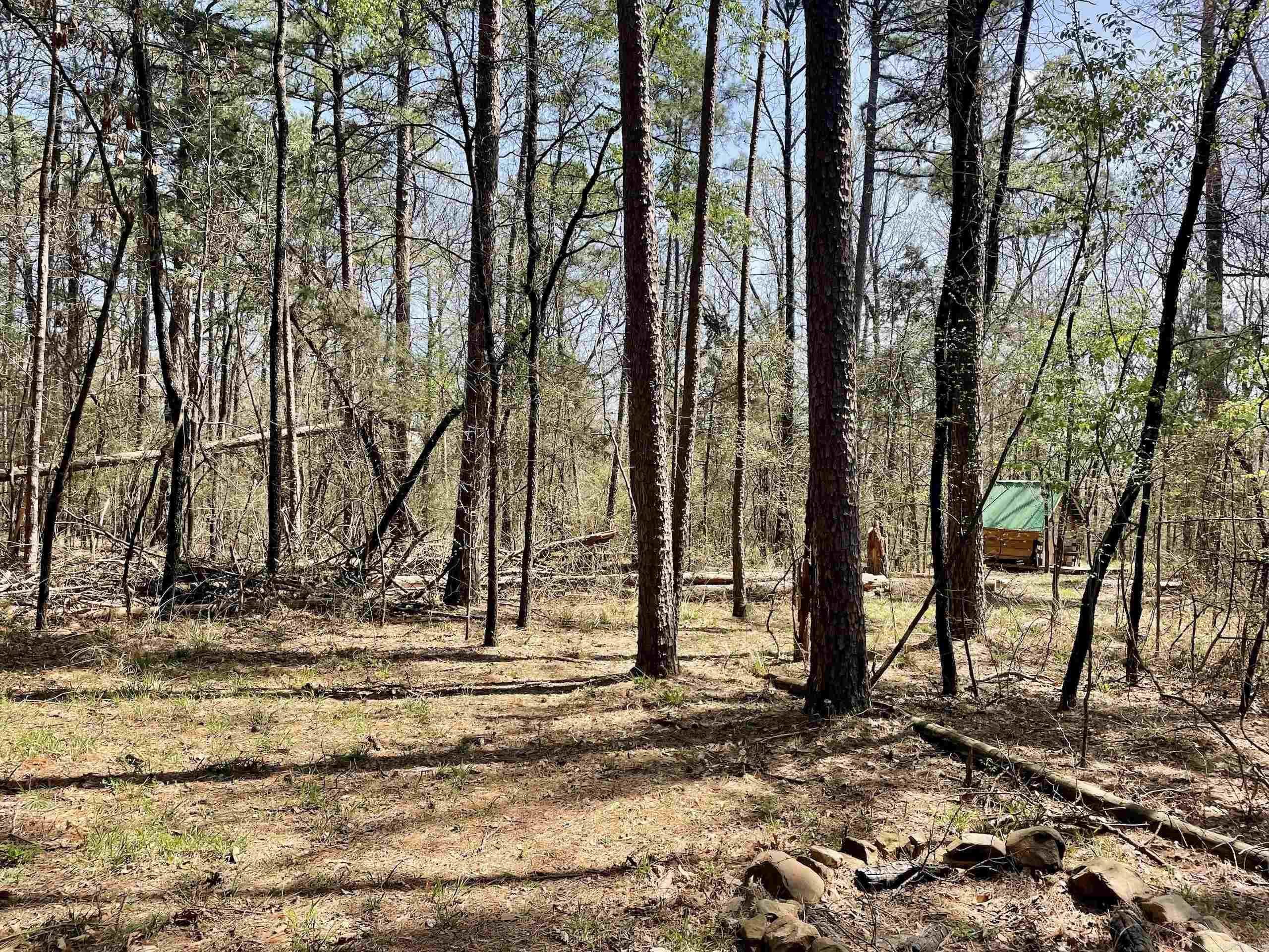 000 Pea Ridge Road Property Photo 7