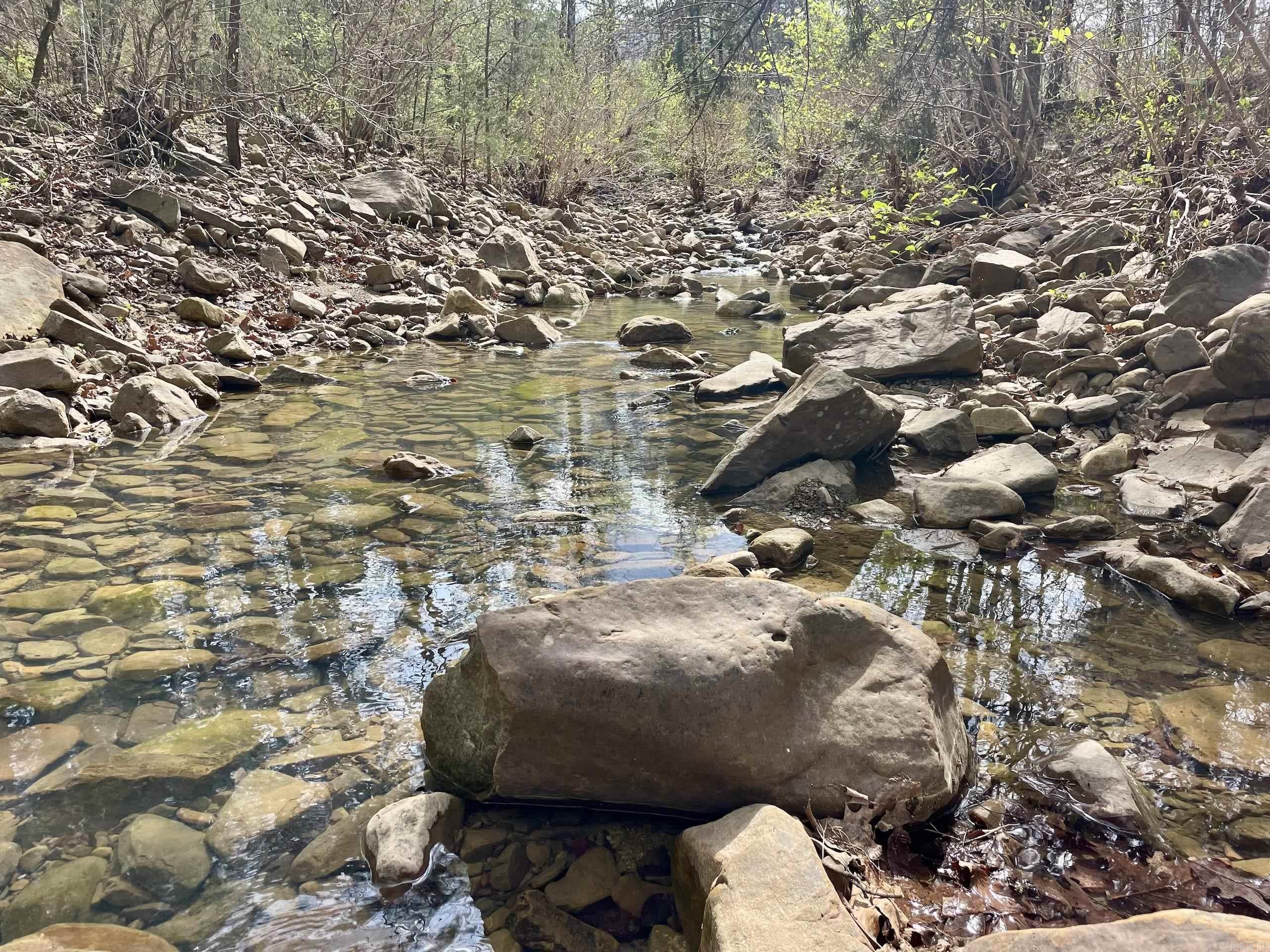 000 Pea Ridge Road Property Photo 10