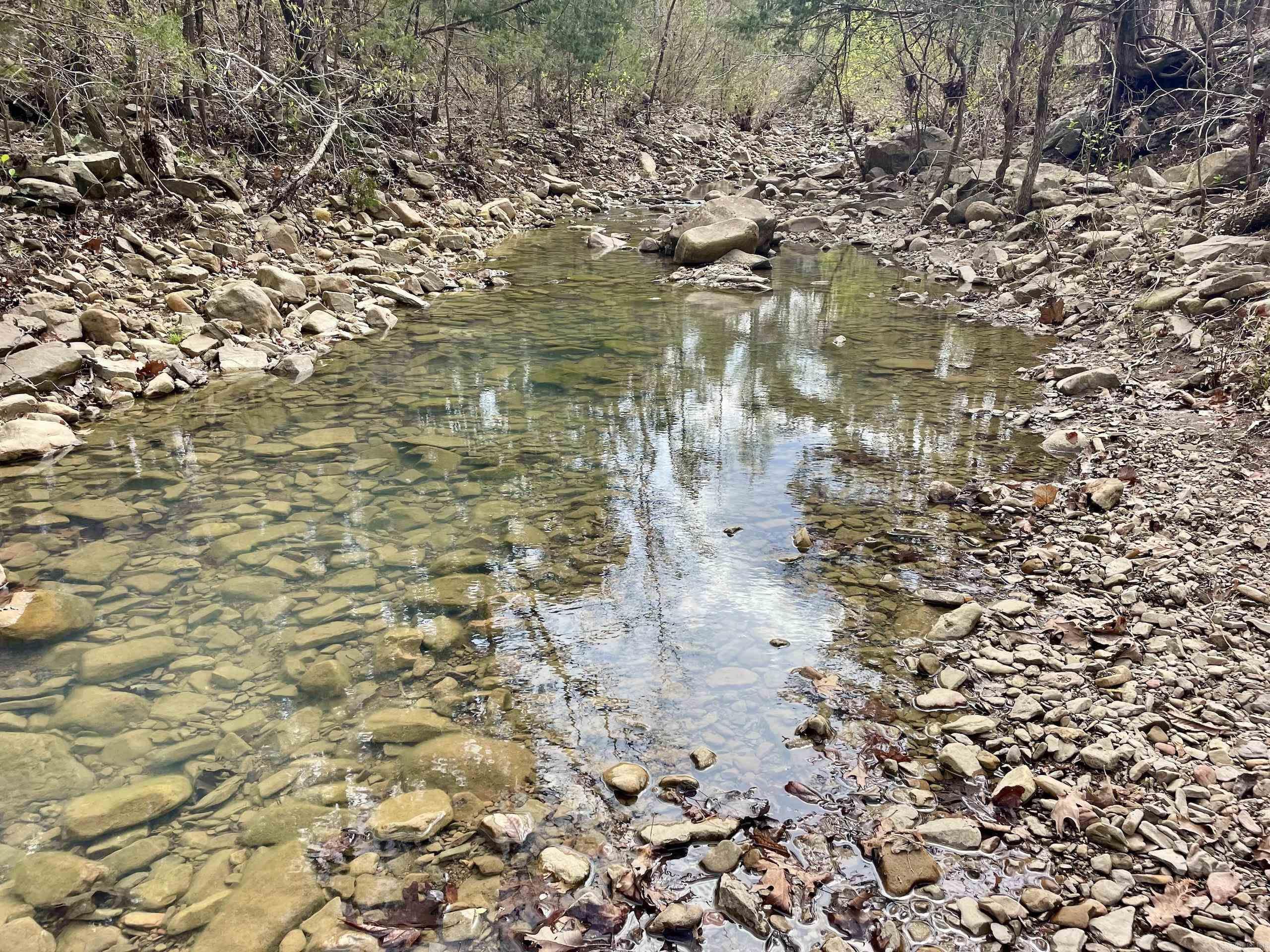 000 Pea Ridge Road Property Photo 11