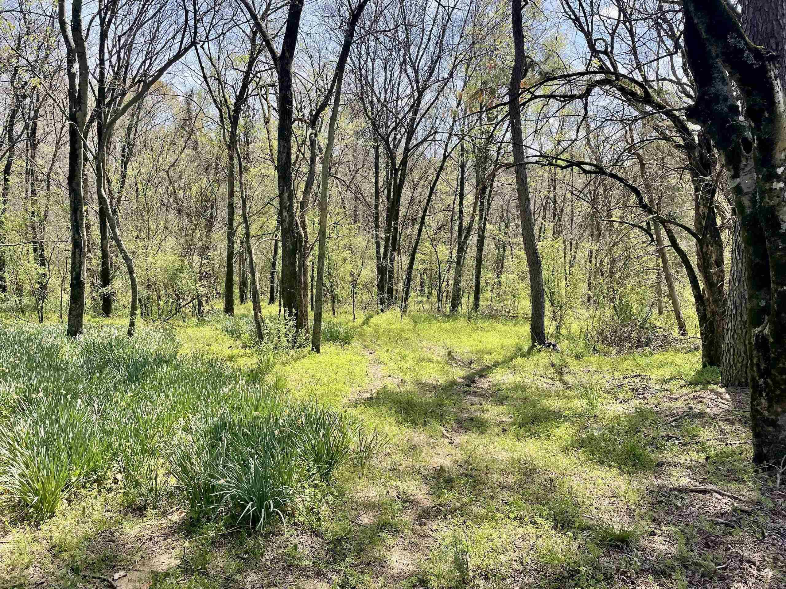 000 Pea Ridge Road Property Photo 14