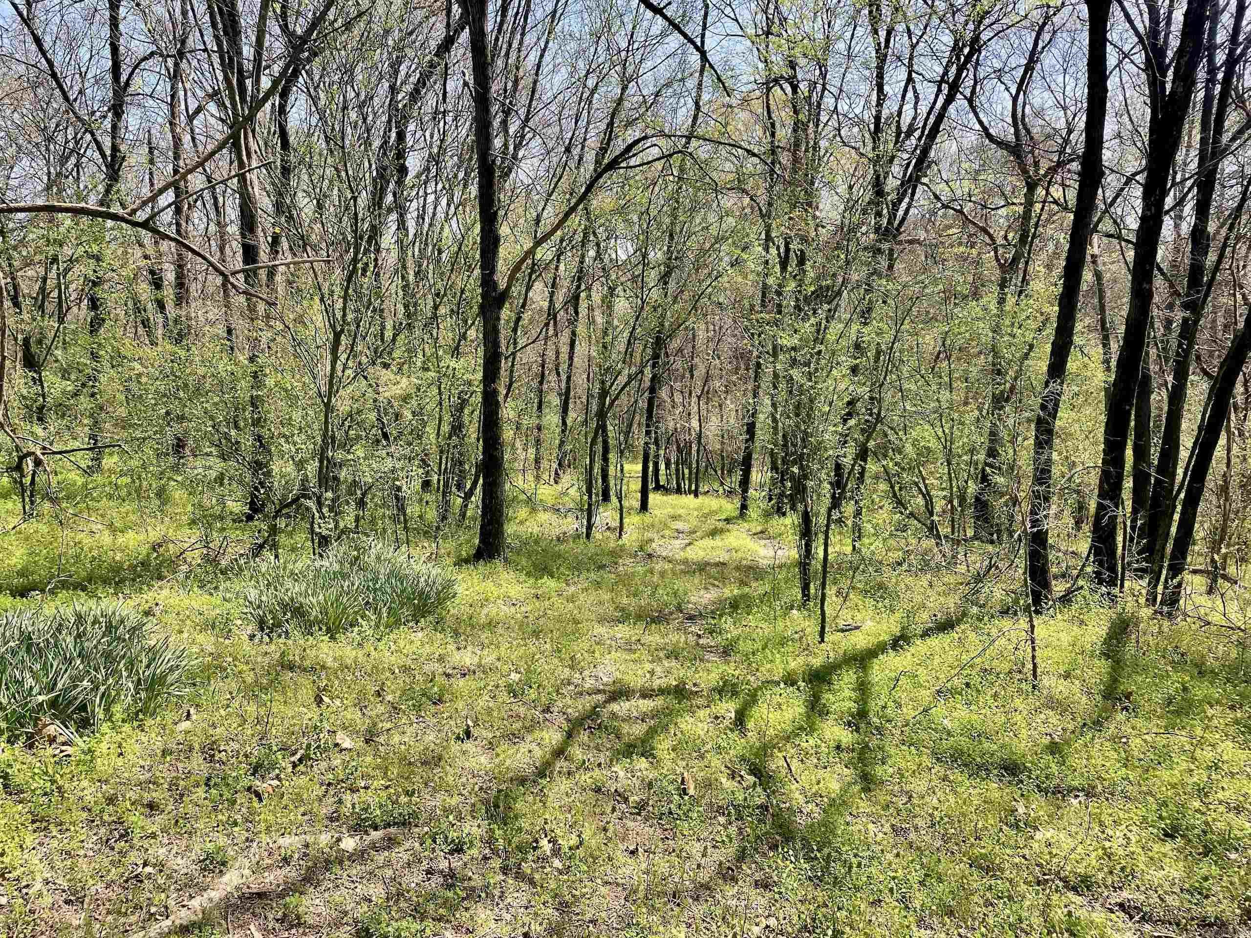 000 Pea Ridge Road Property Photo 15