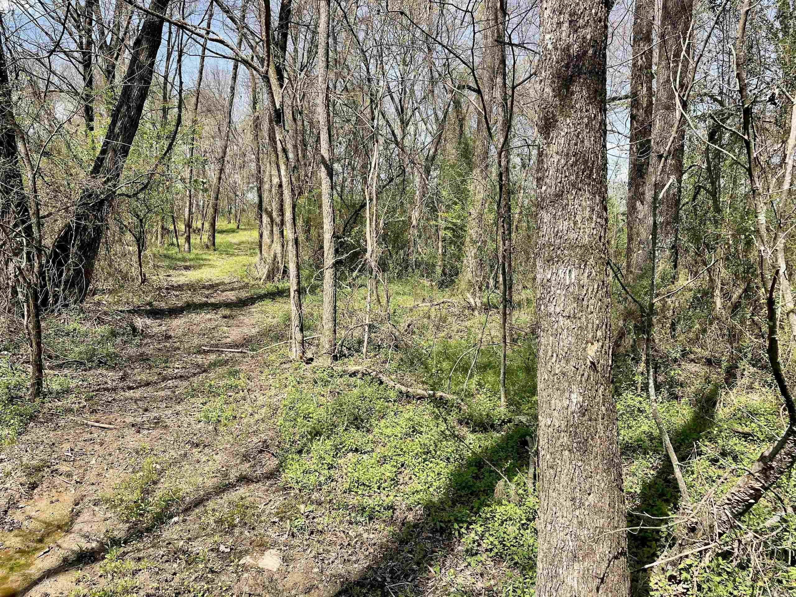 000 Pea Ridge Road Property Photo 16
