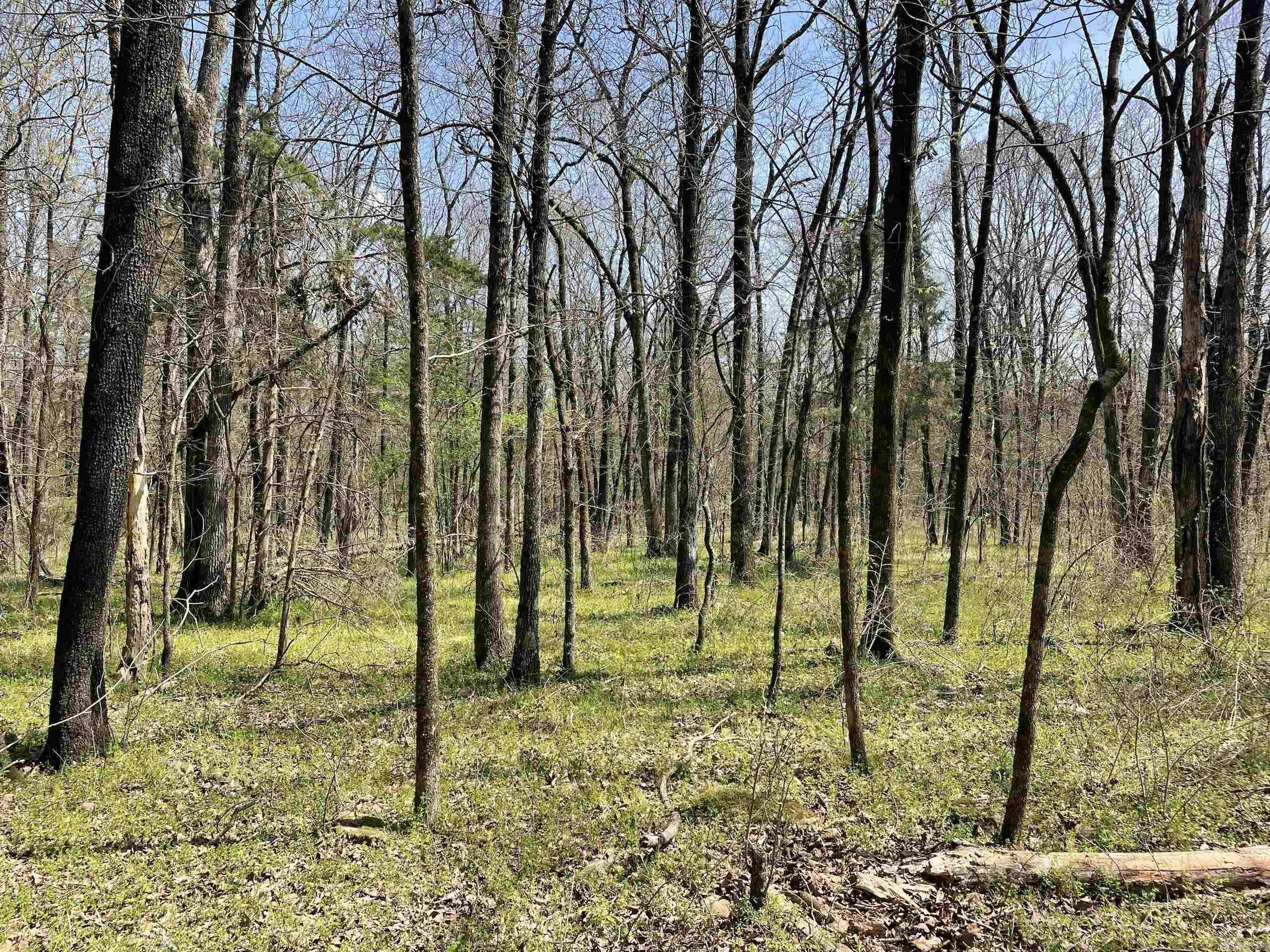000 Pea Ridge Road Property Photo 18