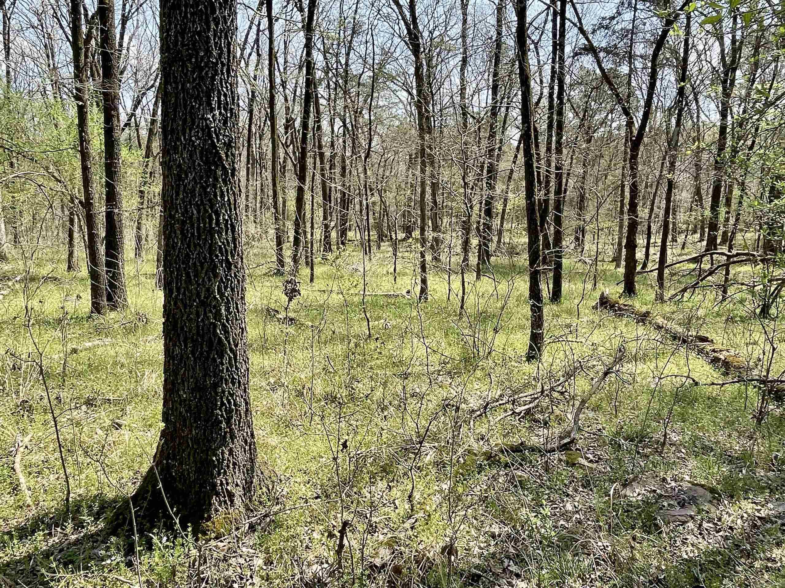000 Pea Ridge Road Property Photo 19