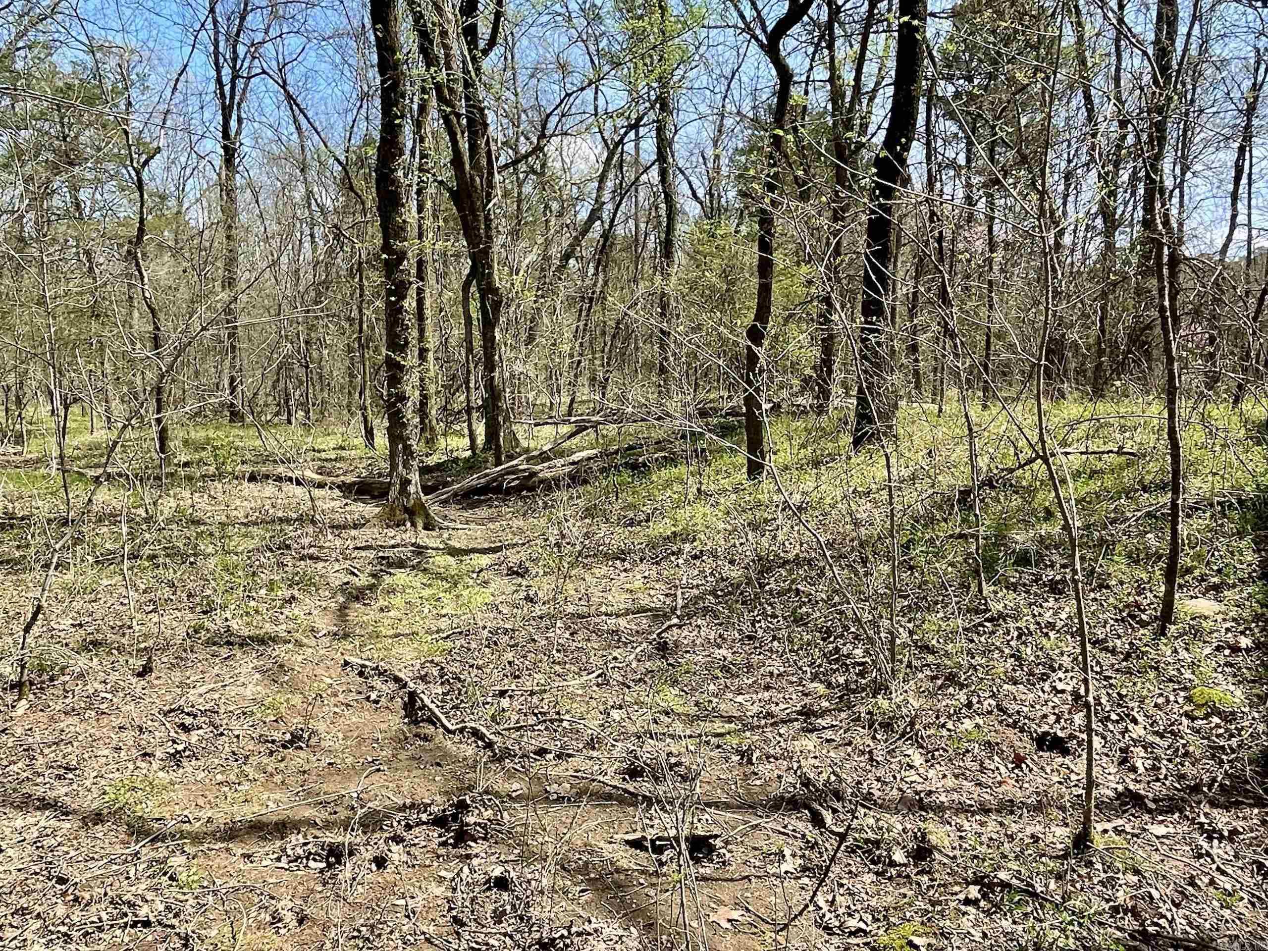 000 Pea Ridge Road Property Photo 20