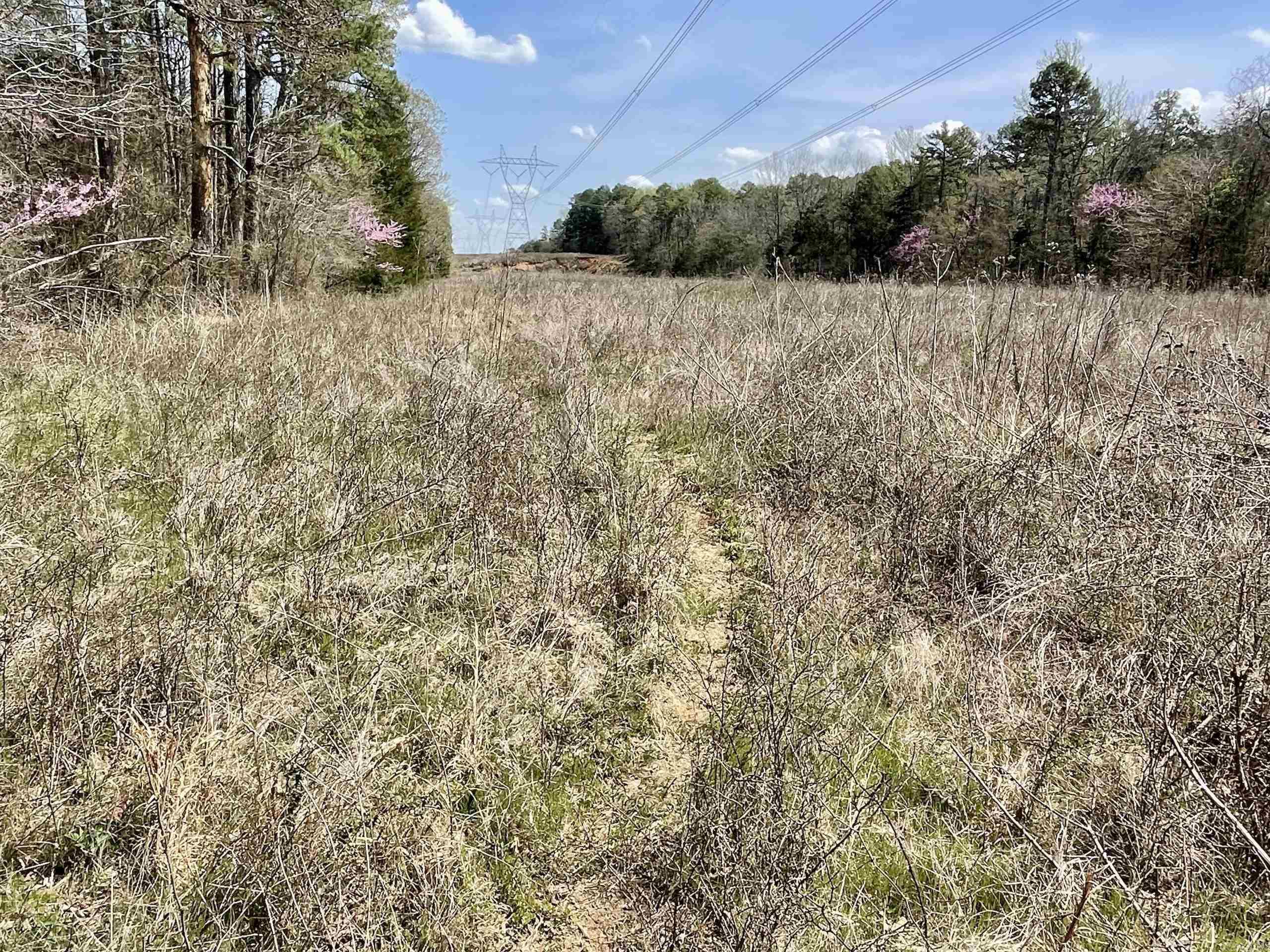 000 Pea Ridge Road Property Photo 21