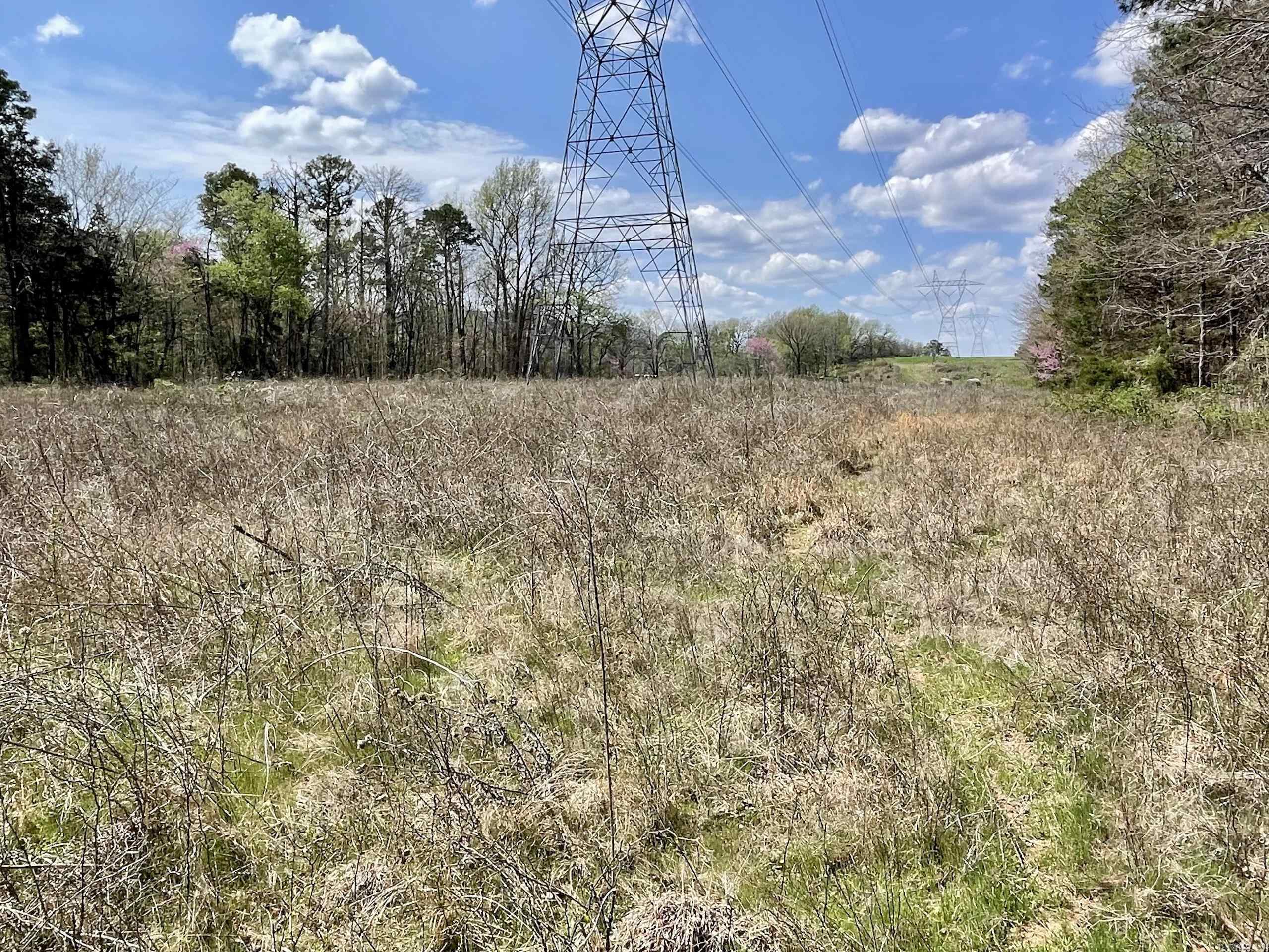 000 Pea Ridge Road Property Photo 22