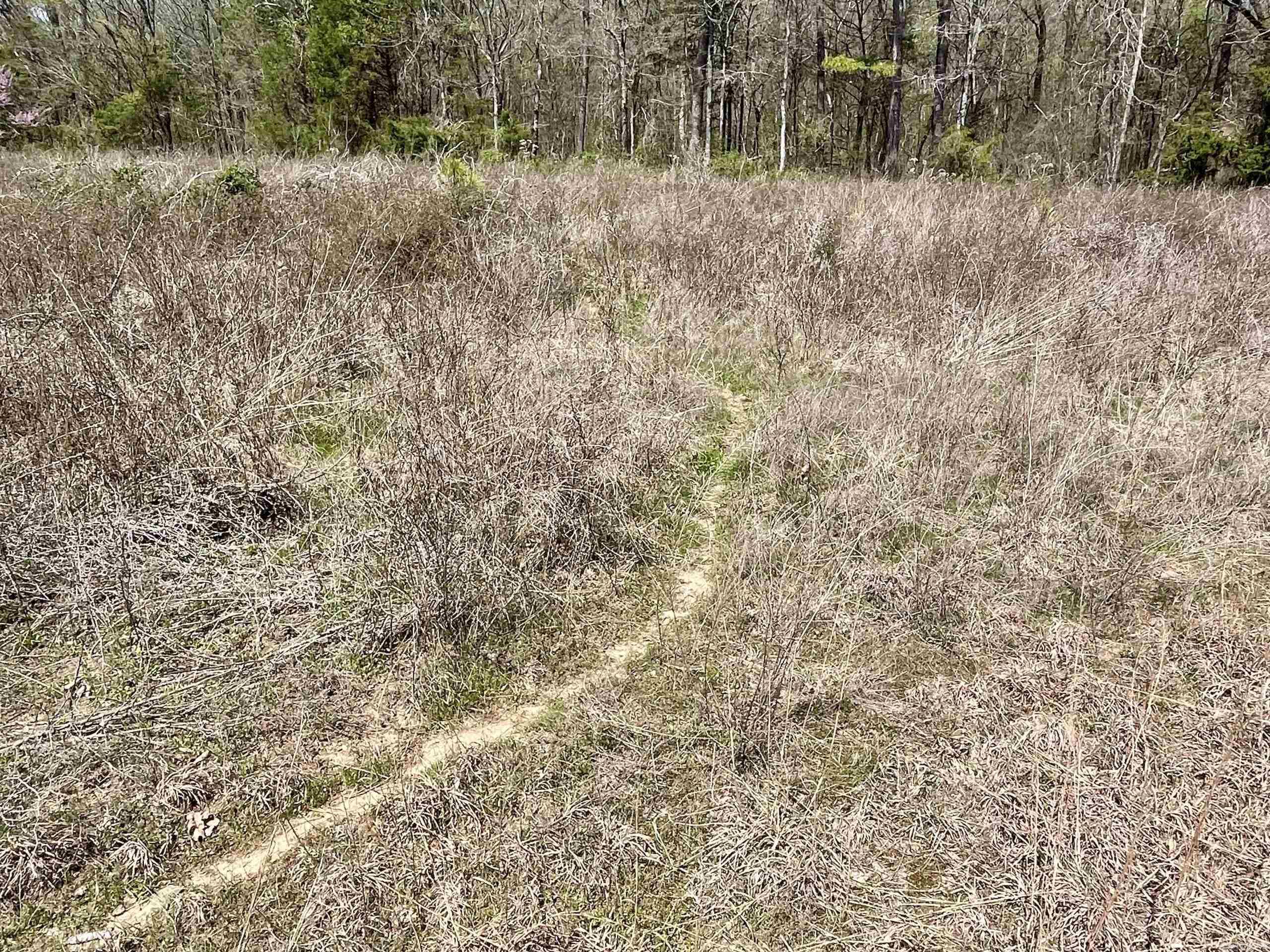 000 Pea Ridge Road Property Photo 23