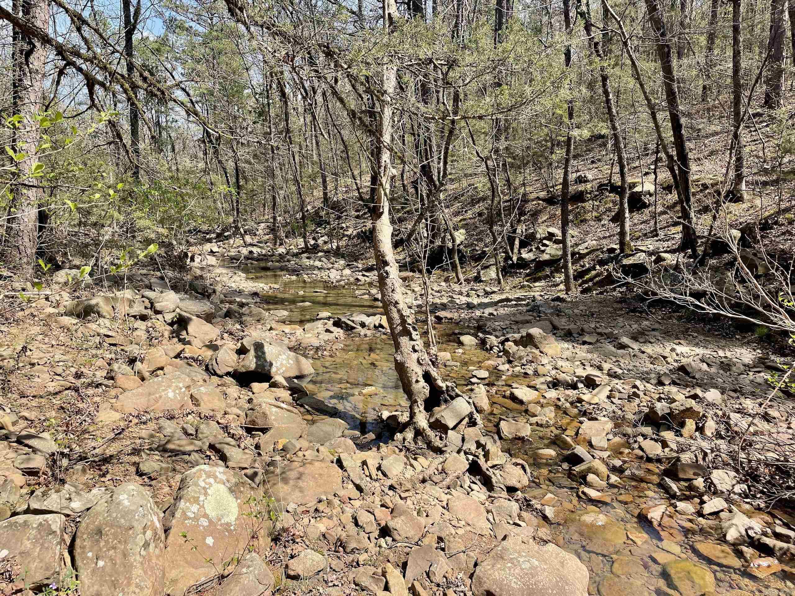 000 Pea Ridge Road Property Photo 25