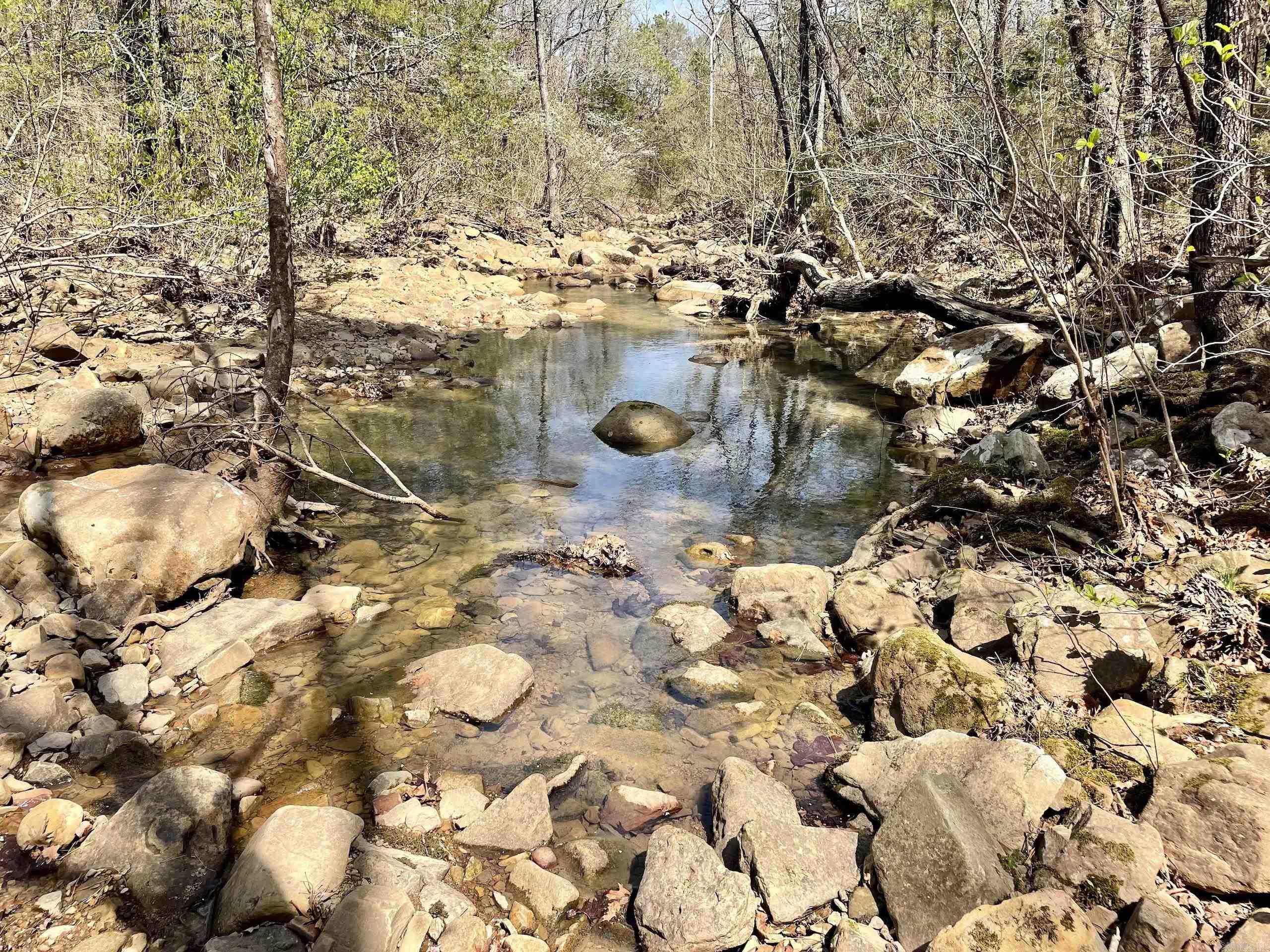 000 Pea Ridge Road Property Photo 27