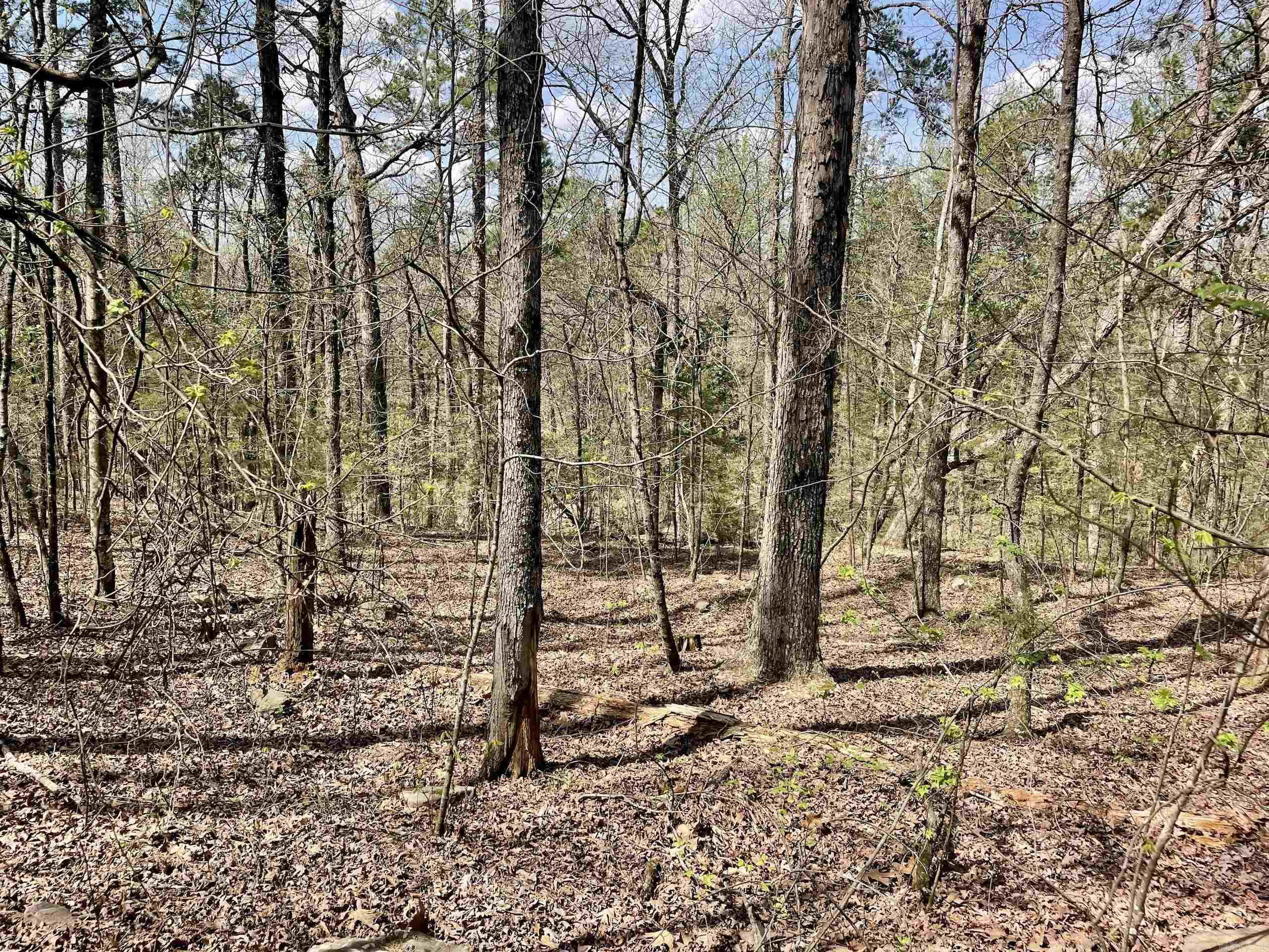 000 Pea Ridge Road Property Photo 29