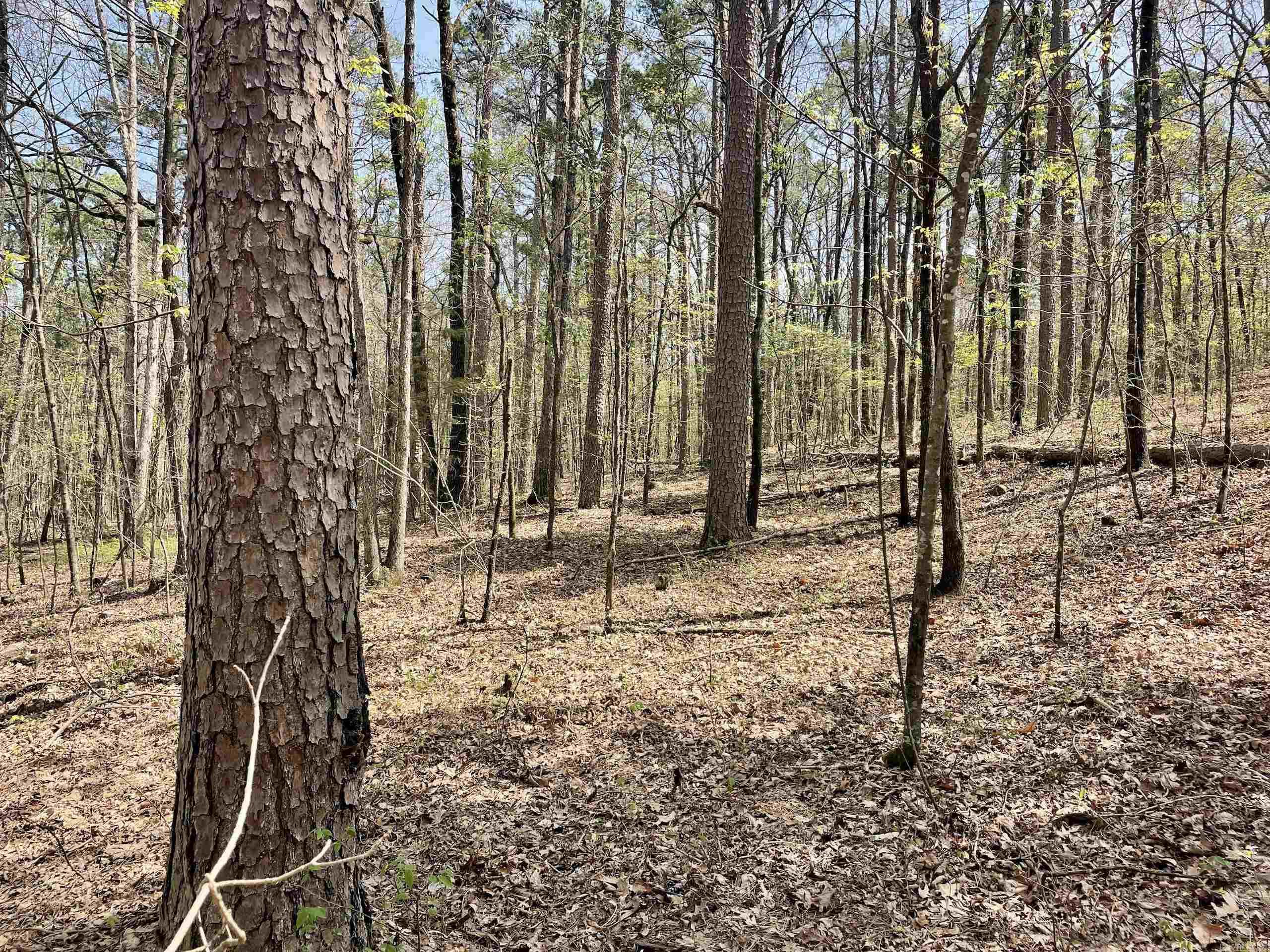 000 Pea Ridge Road Property Photo 30