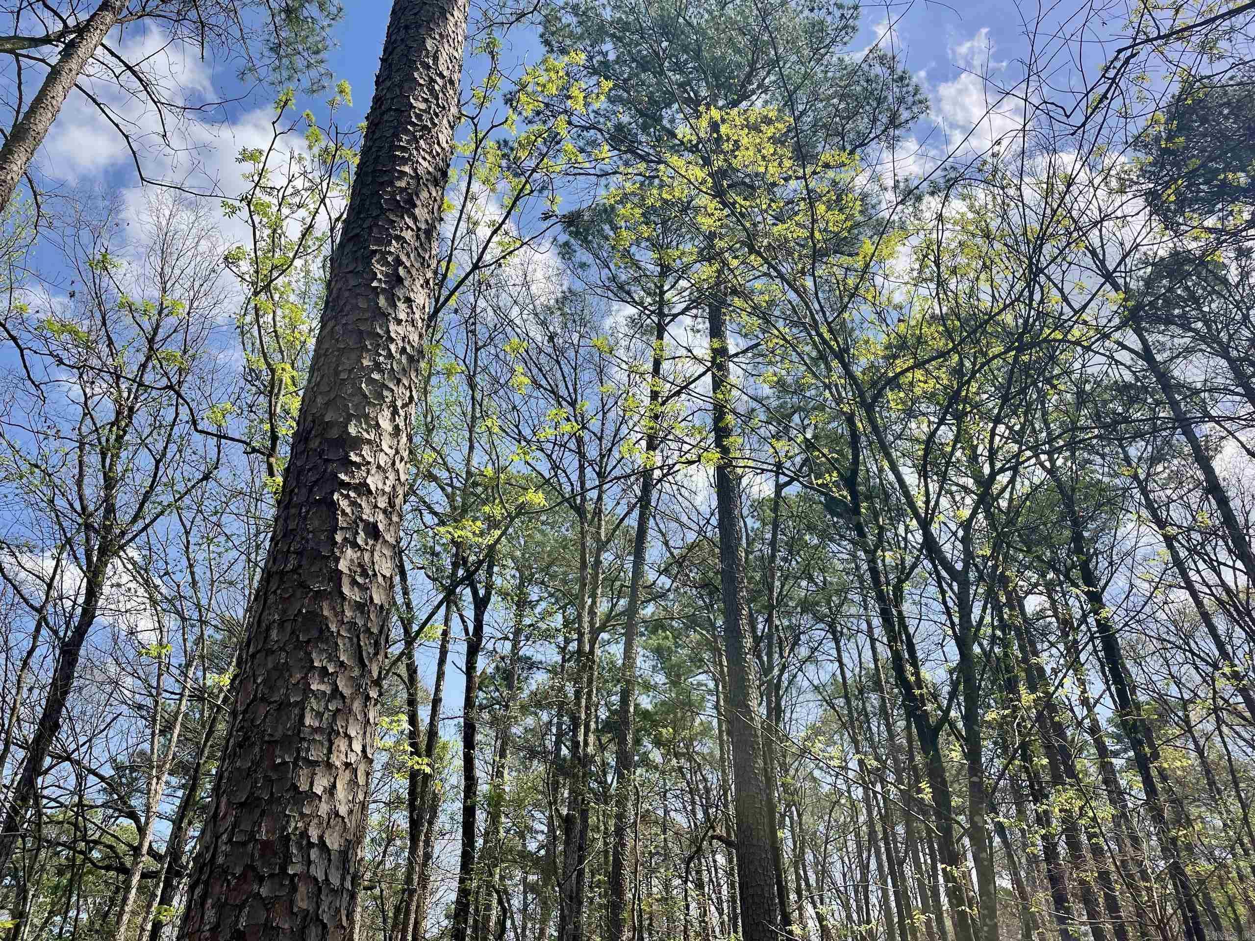 000 Pea Ridge Road Property Photo 31