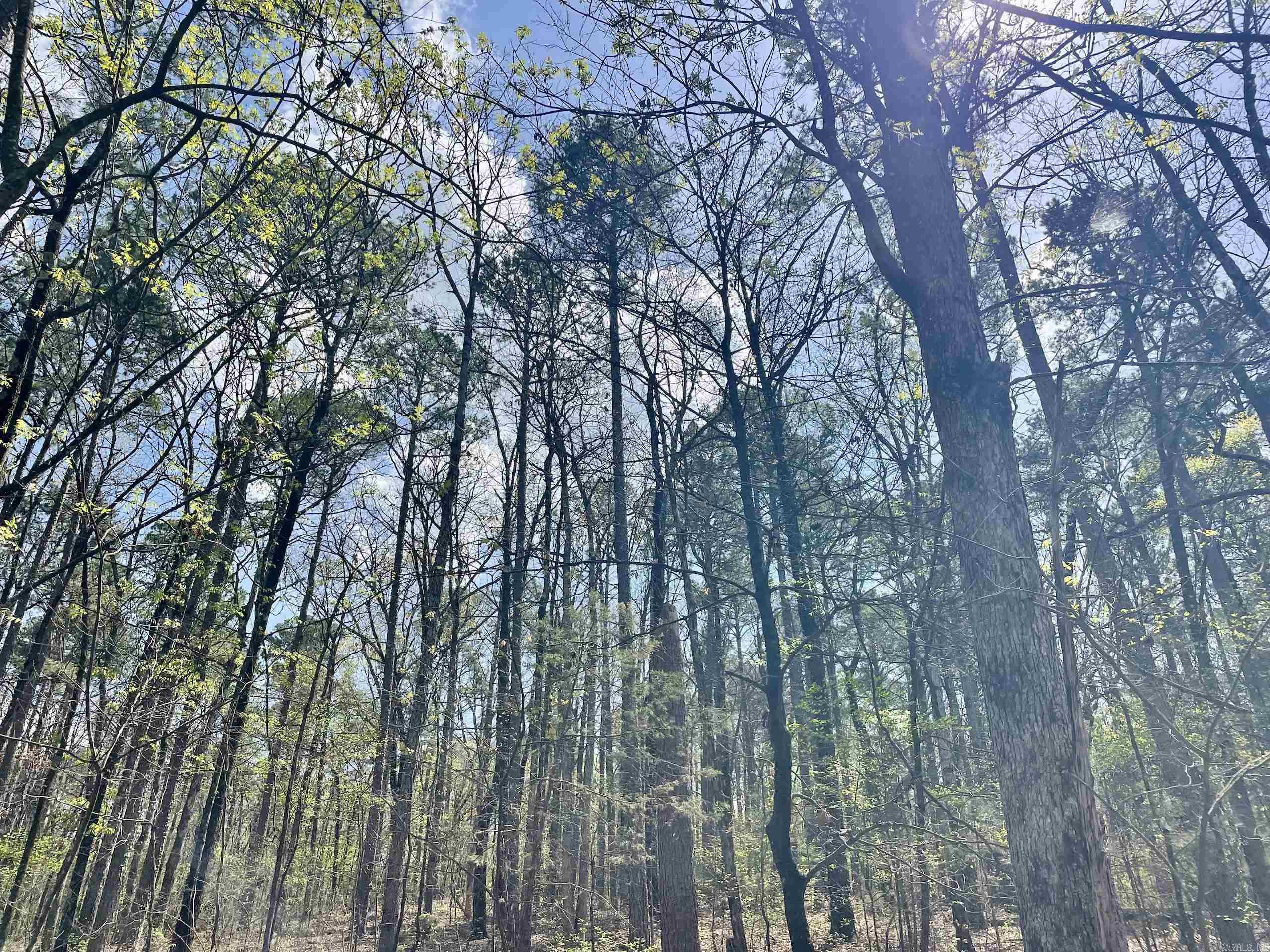 000 Pea Ridge Road Property Photo 32