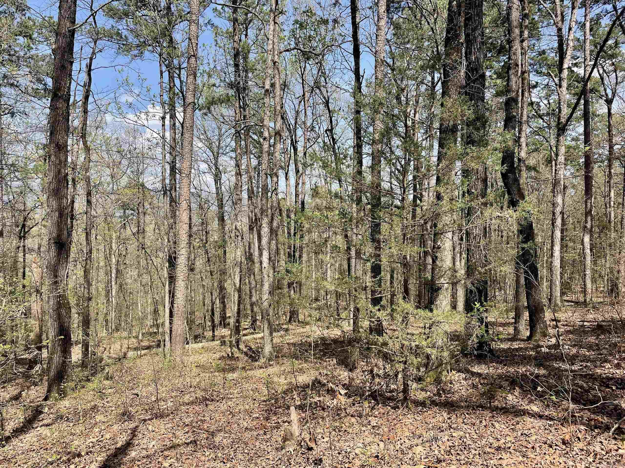 000 Pea Ridge Road Property Photo 33