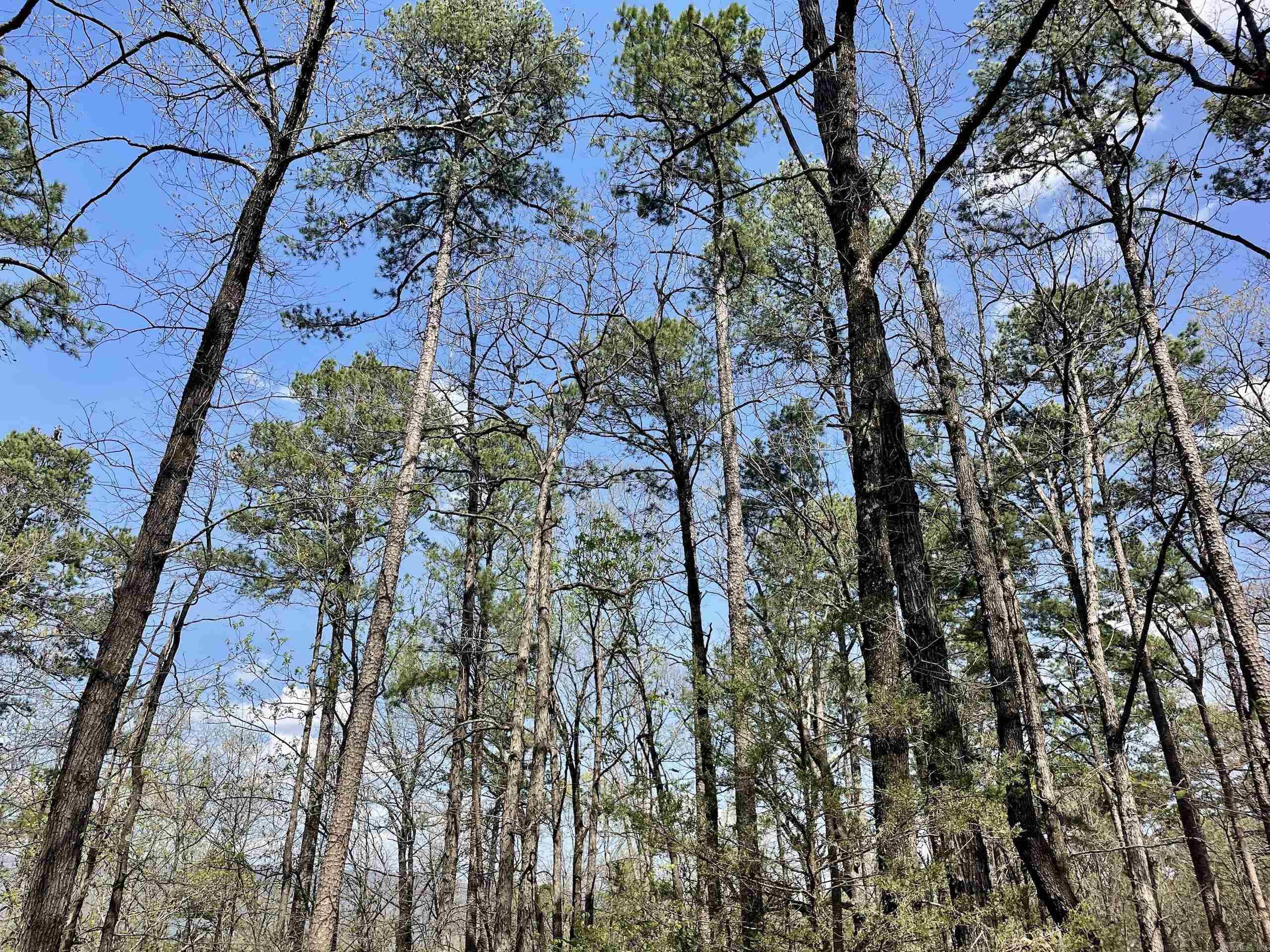000 Pea Ridge Road Property Photo 34
