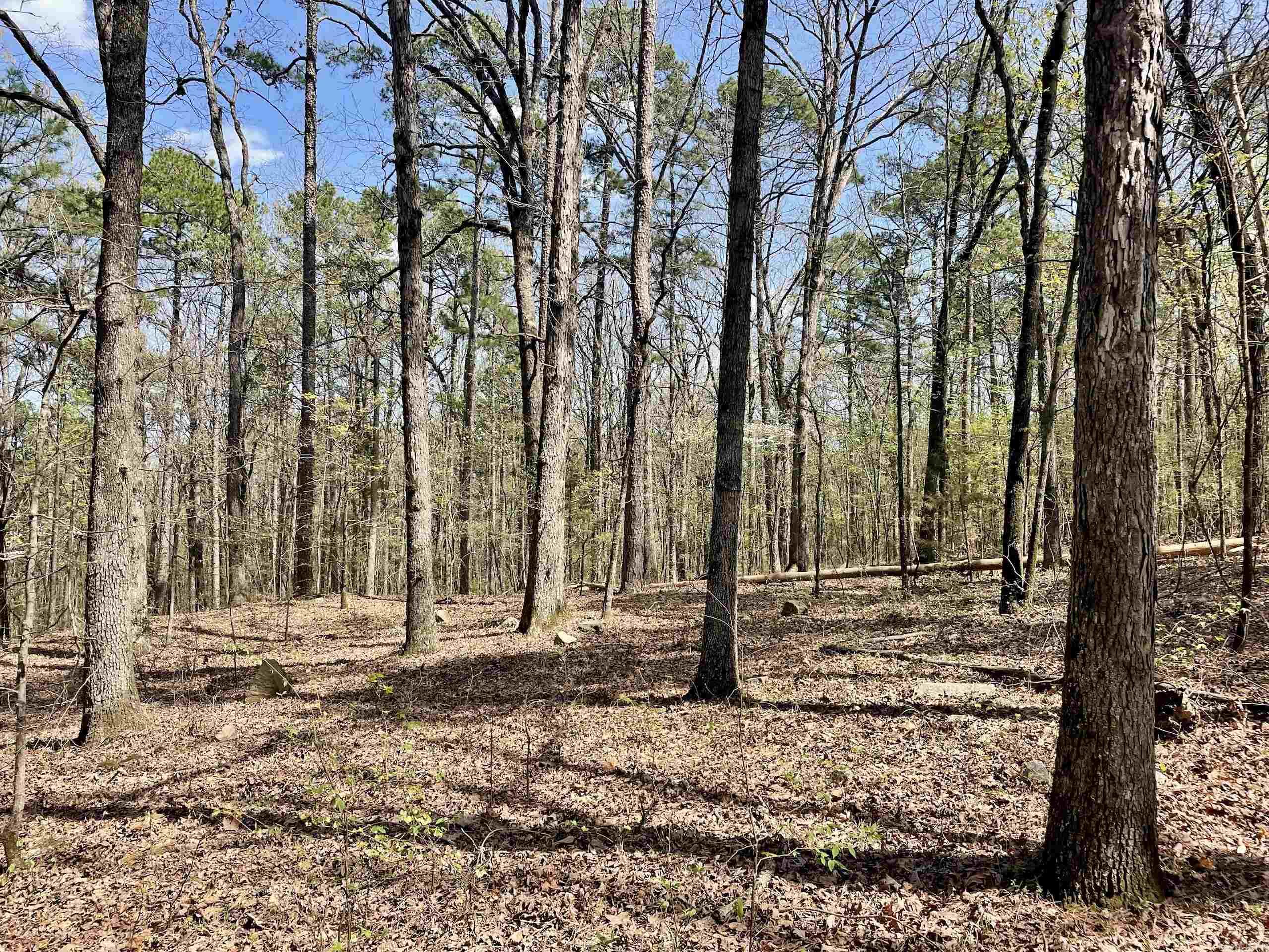 000 Pea Ridge Road Property Photo 35