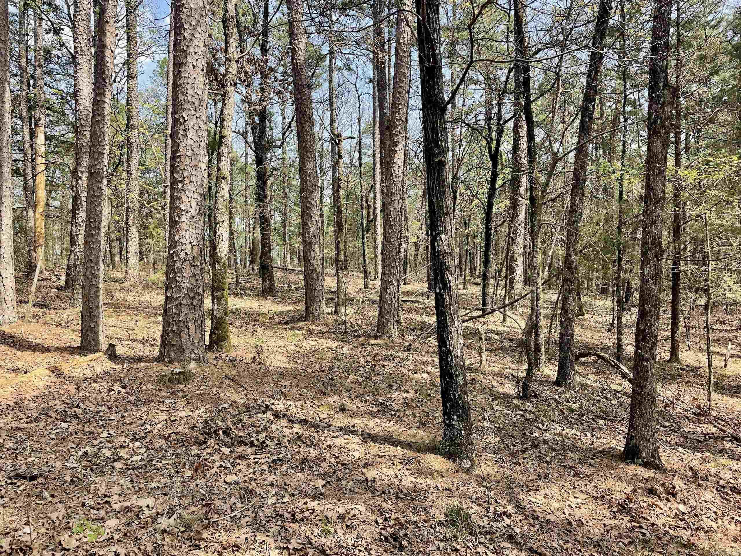 000 Pea Ridge Road Property Photo 36