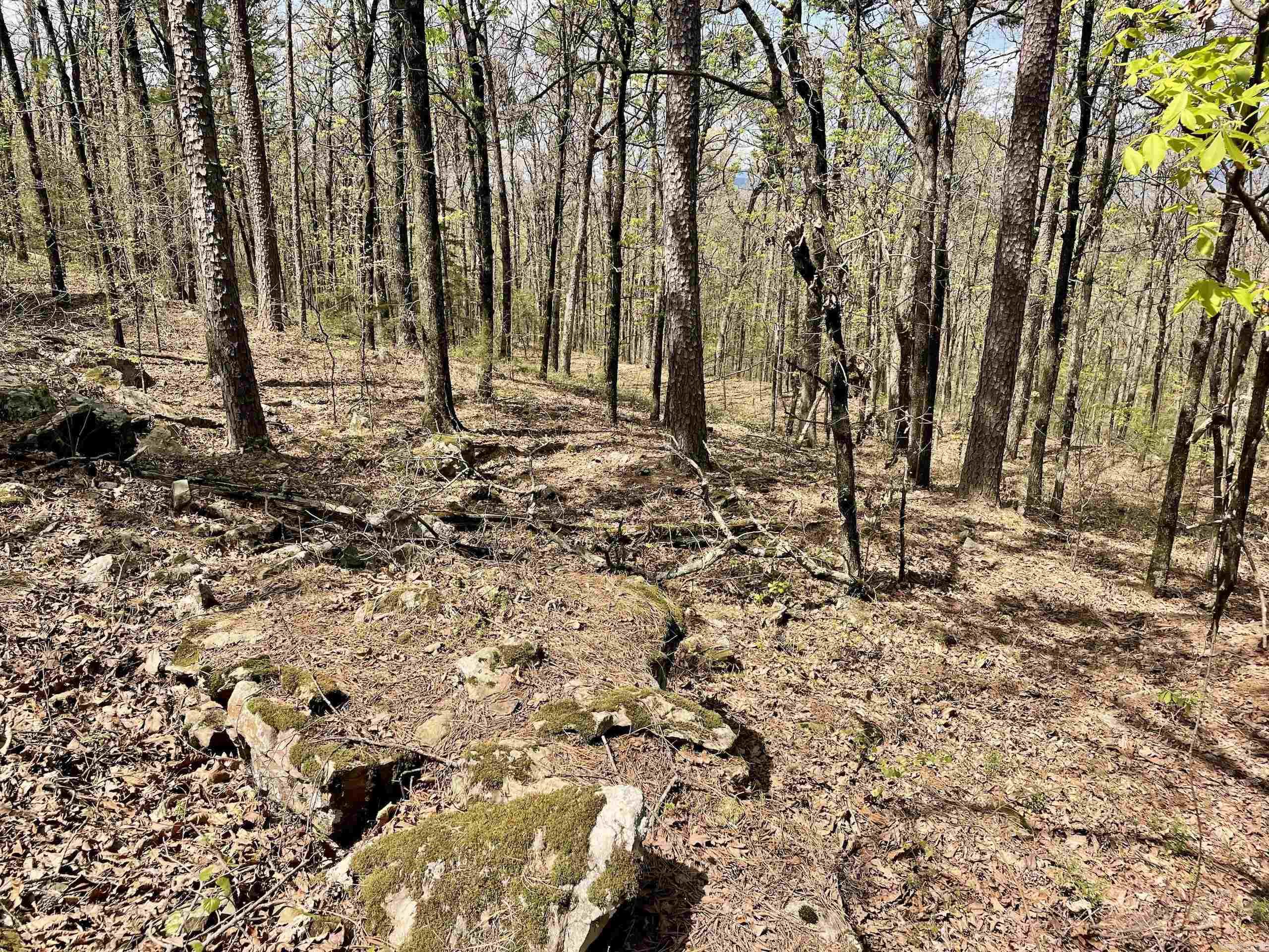 000 Pea Ridge Road Property Photo 39