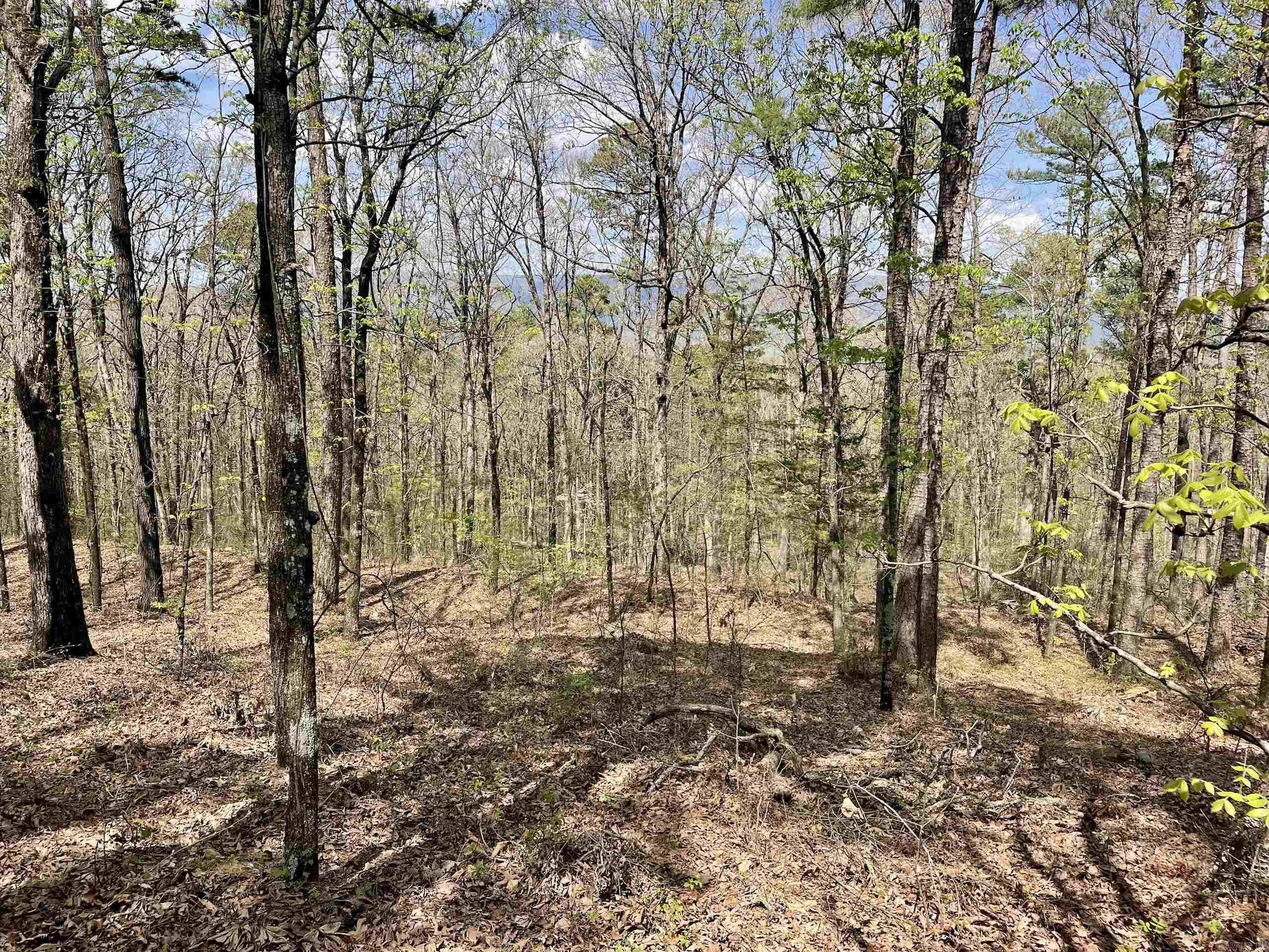 000 Pea Ridge Road Property Photo 40