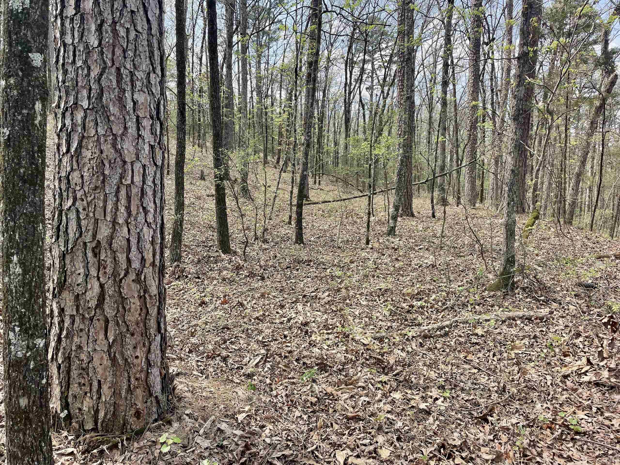 000 Pea Ridge Road Property Photo 41