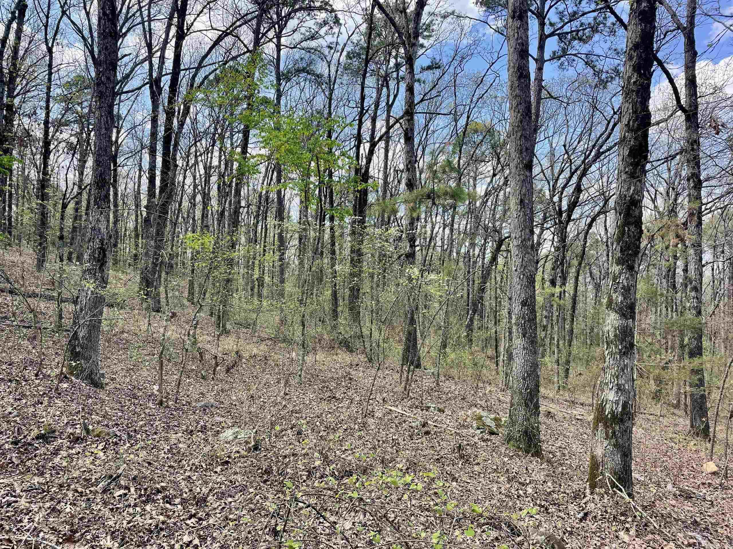 000 Pea Ridge Road Property Photo 42