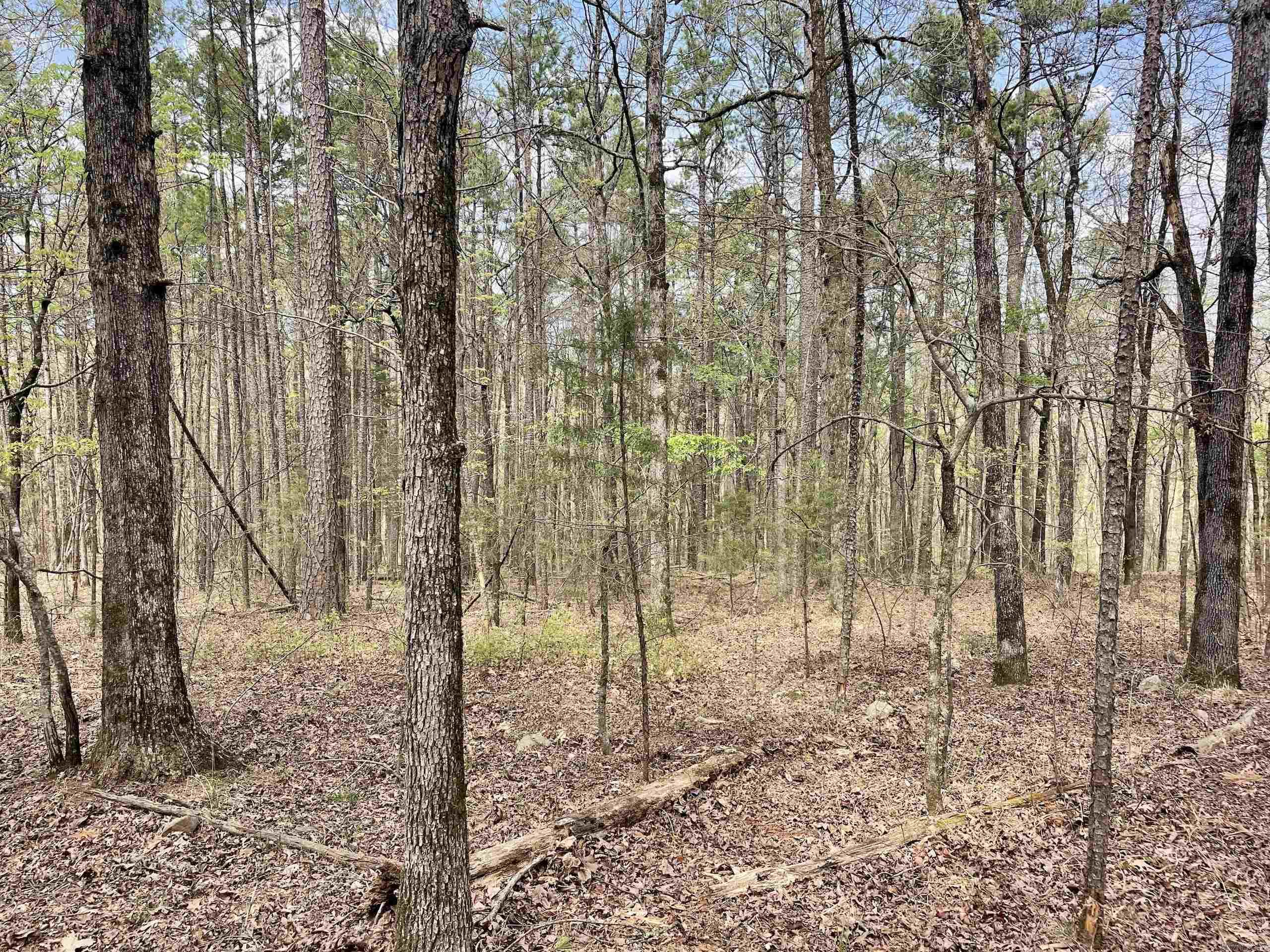 000 Pea Ridge Road Property Photo 44