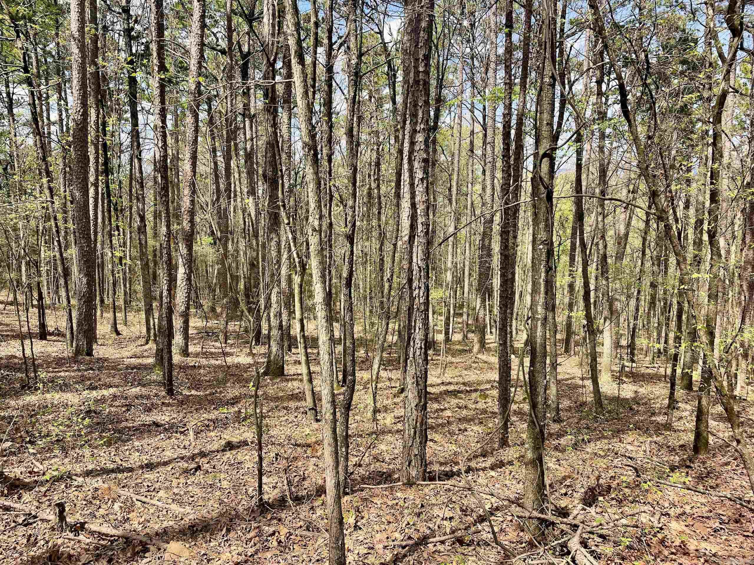 000 Pea Ridge Road Property Photo 45