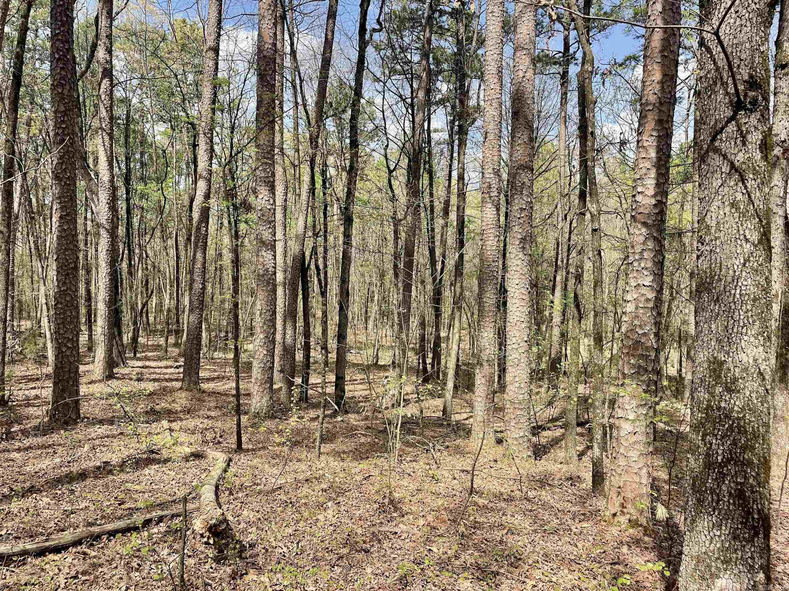 000 Pea Ridge Road Property Photo 46