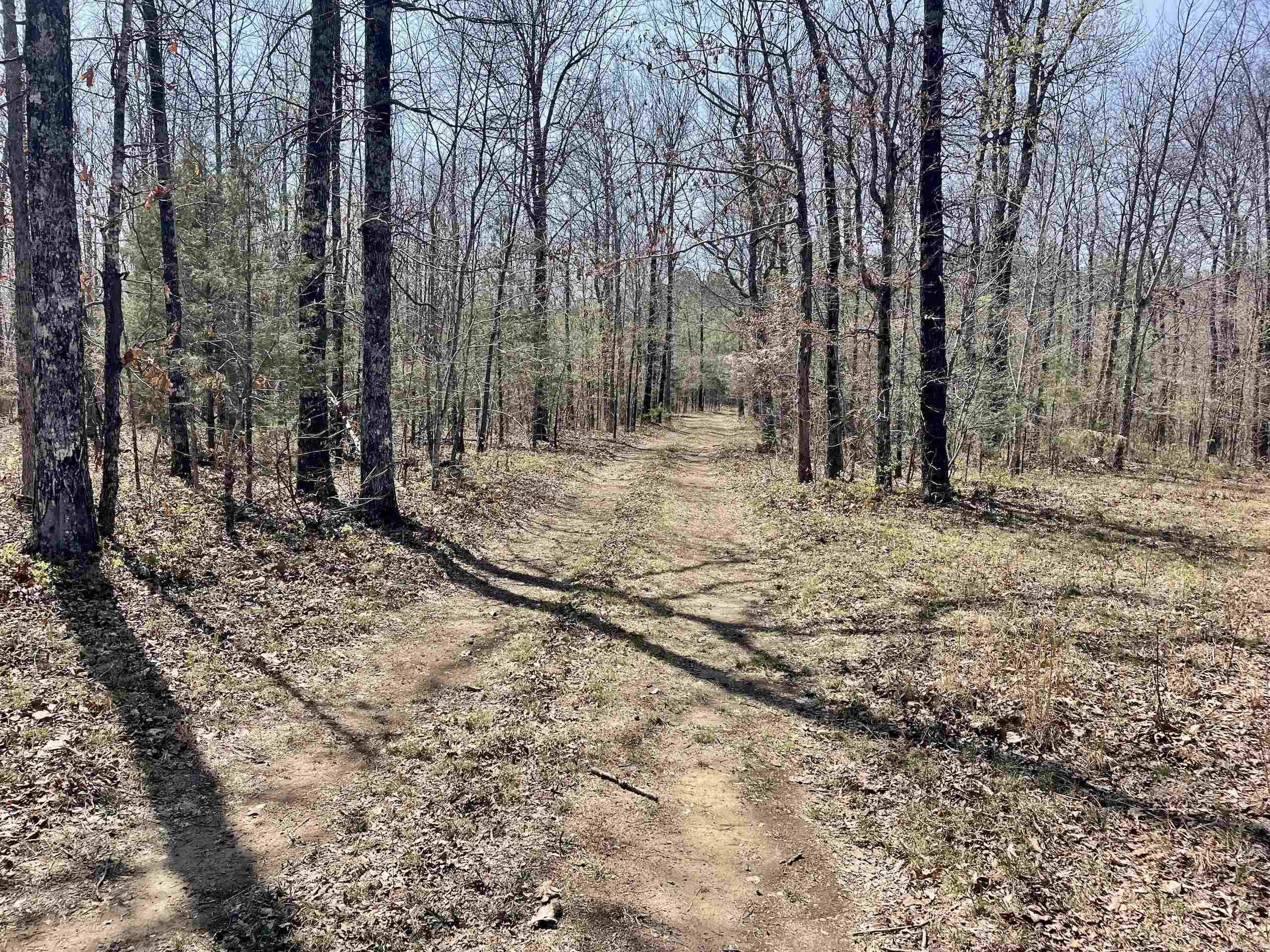 000 Dabney Road Property Photo 3