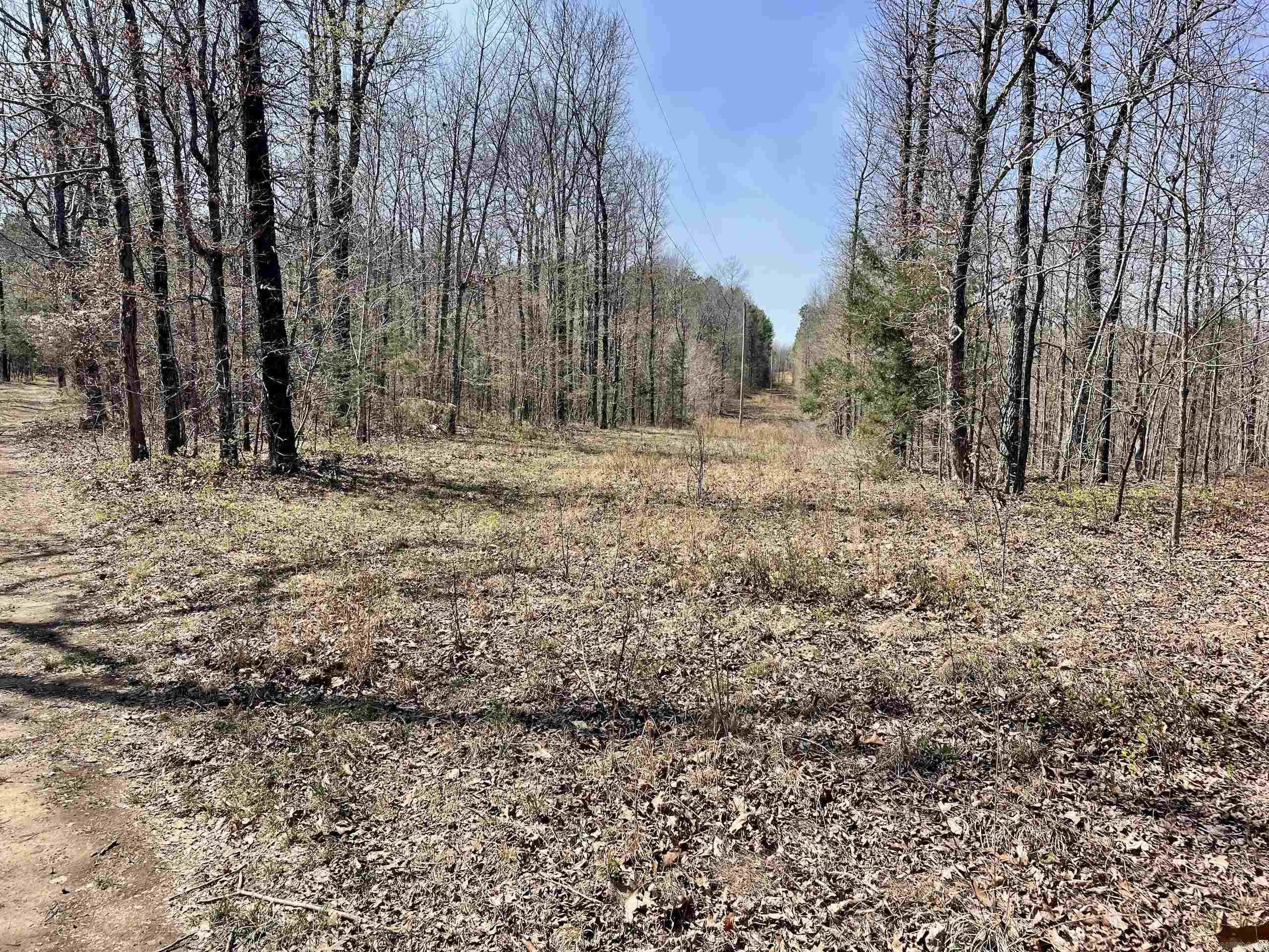 000 Dabney Road Property Photo 4