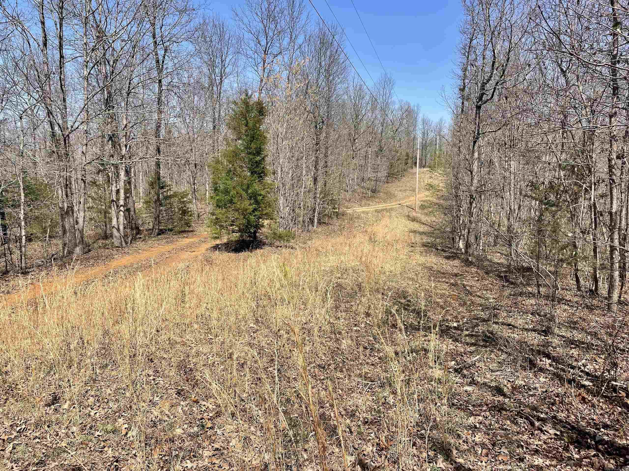 000 Dabney Road Property Photo 6