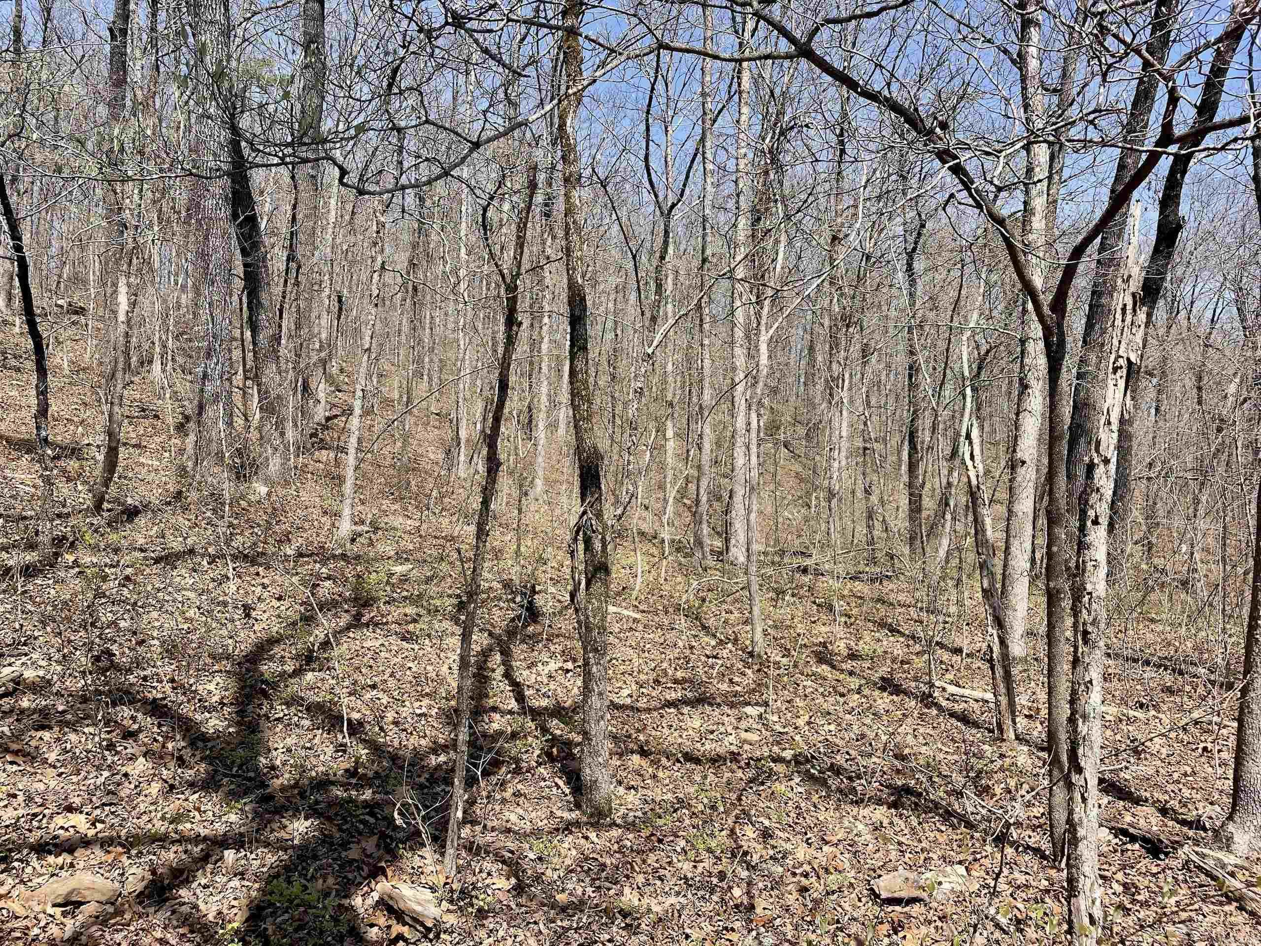 000 Dabney Road Property Photo 8