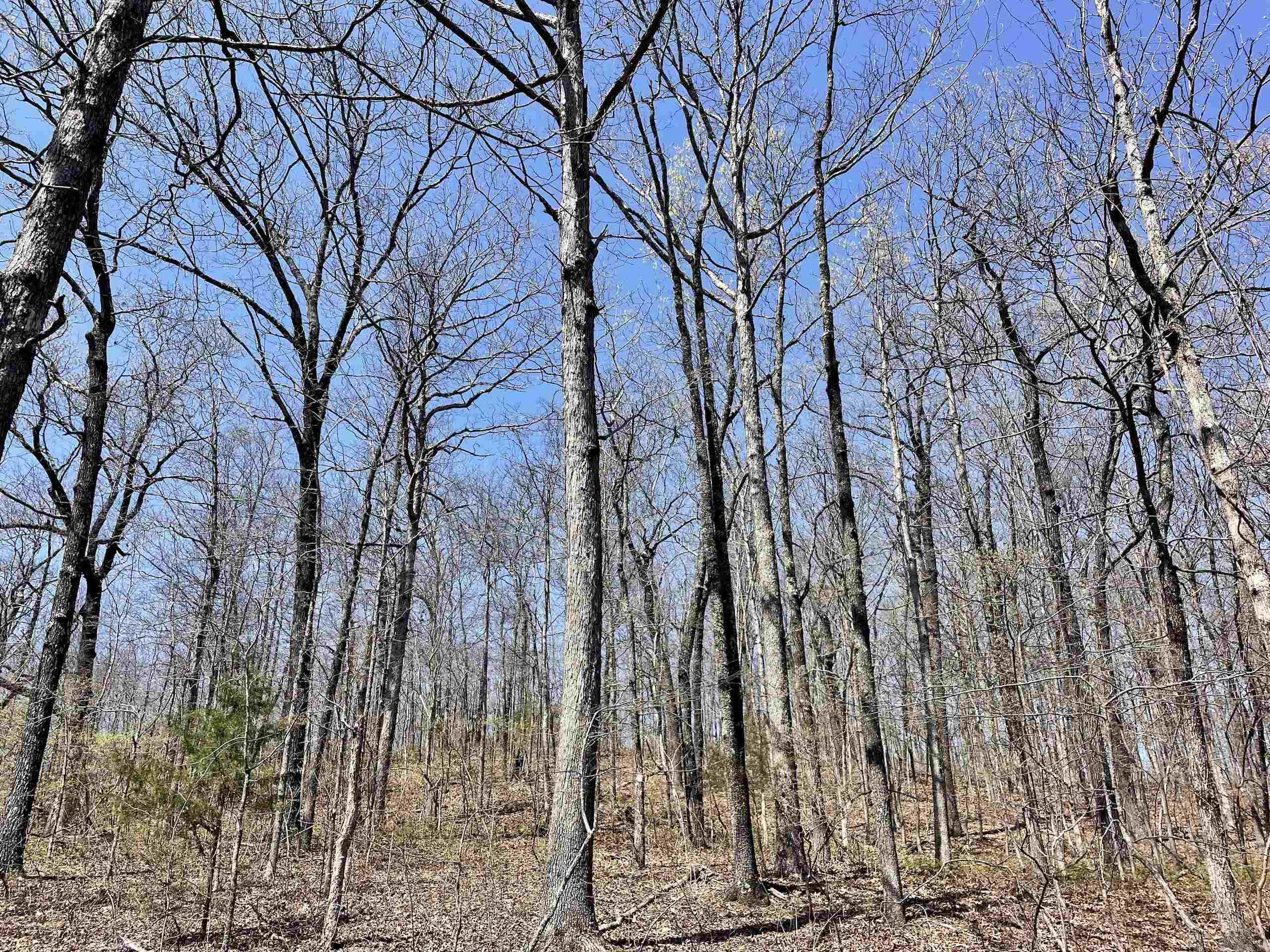 000 Dabney Road Property Photo 10