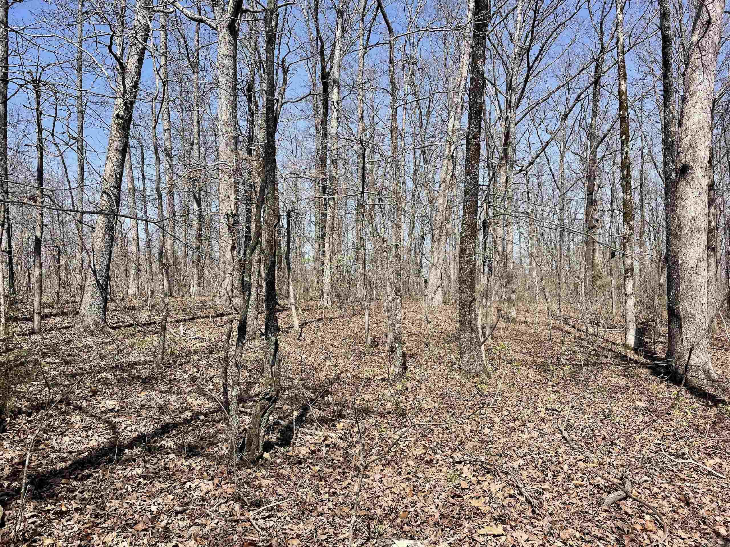 000 Dabney Road Property Photo 11