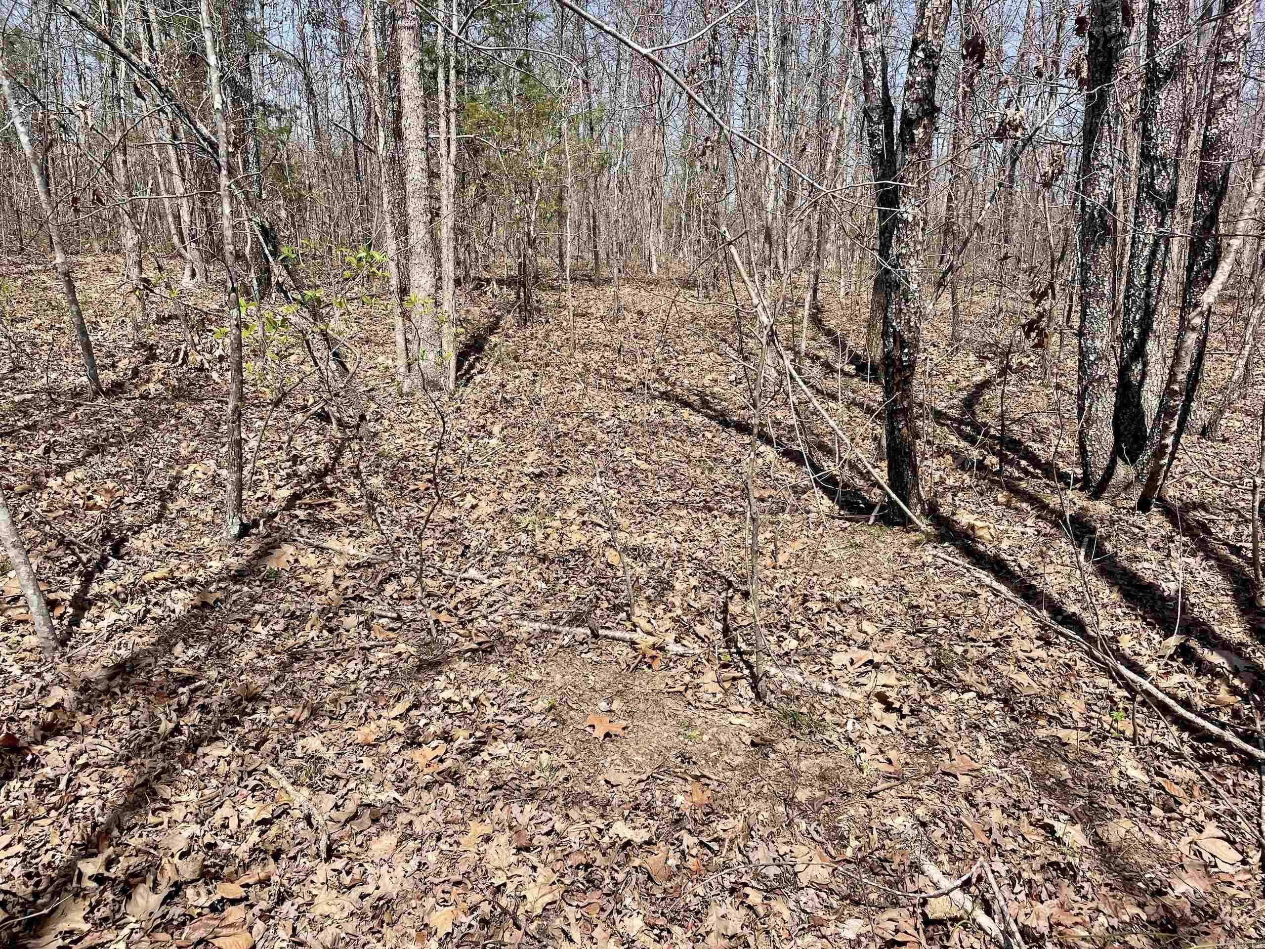 000 Dabney Road Property Photo 12