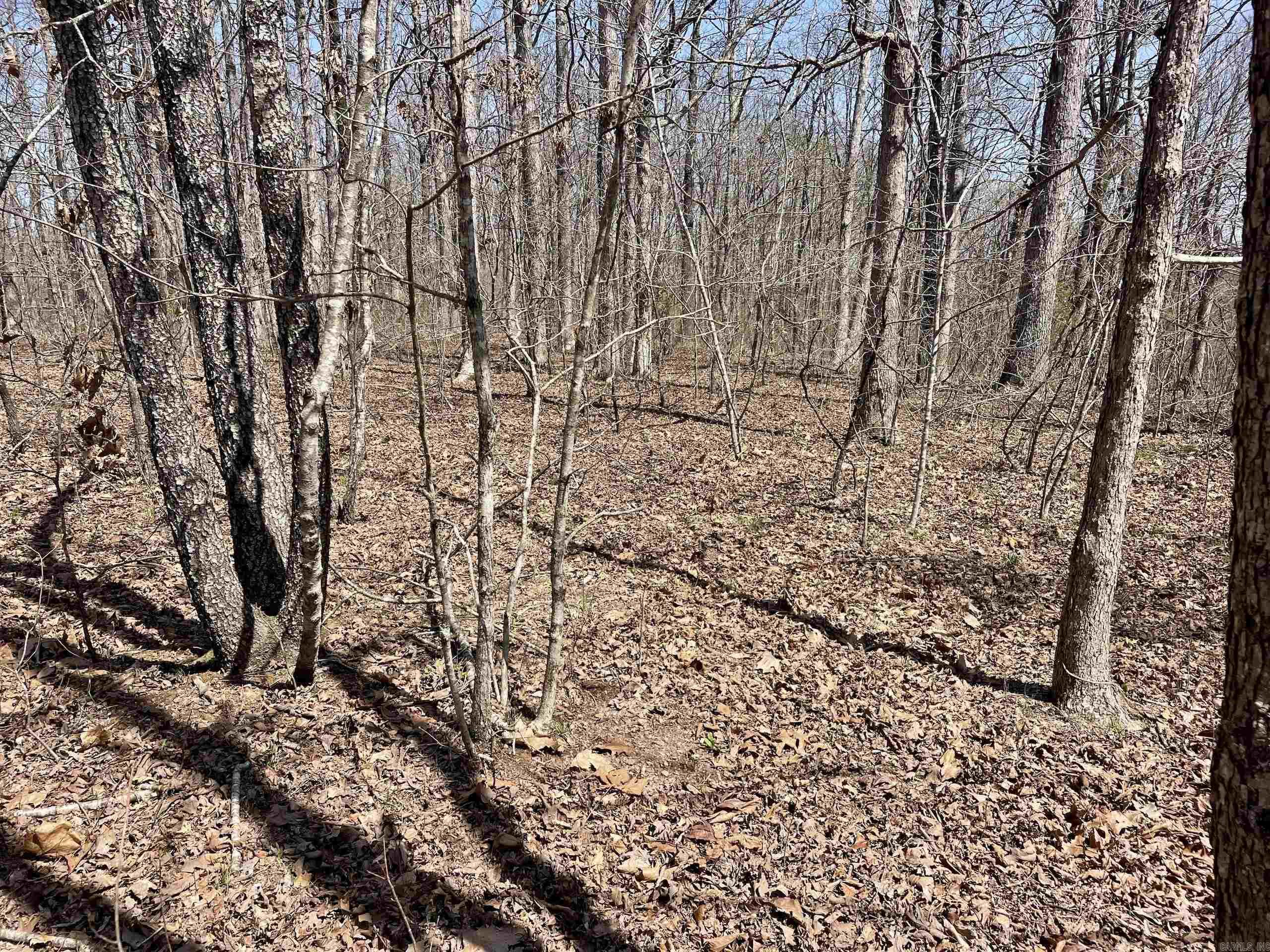 000 Dabney Road Property Photo 13