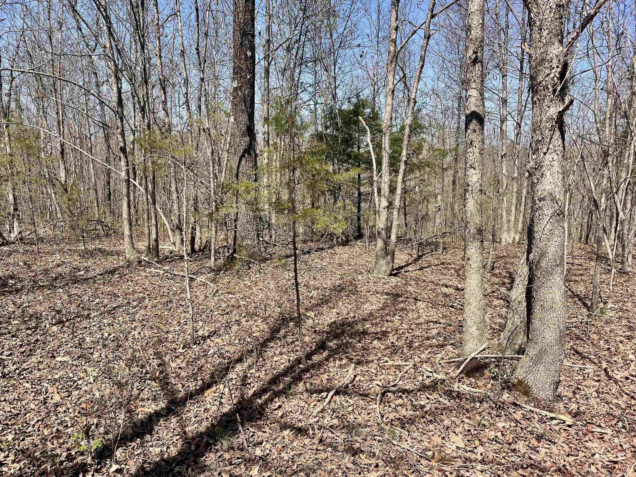 000 Dabney Road Property Photo 15