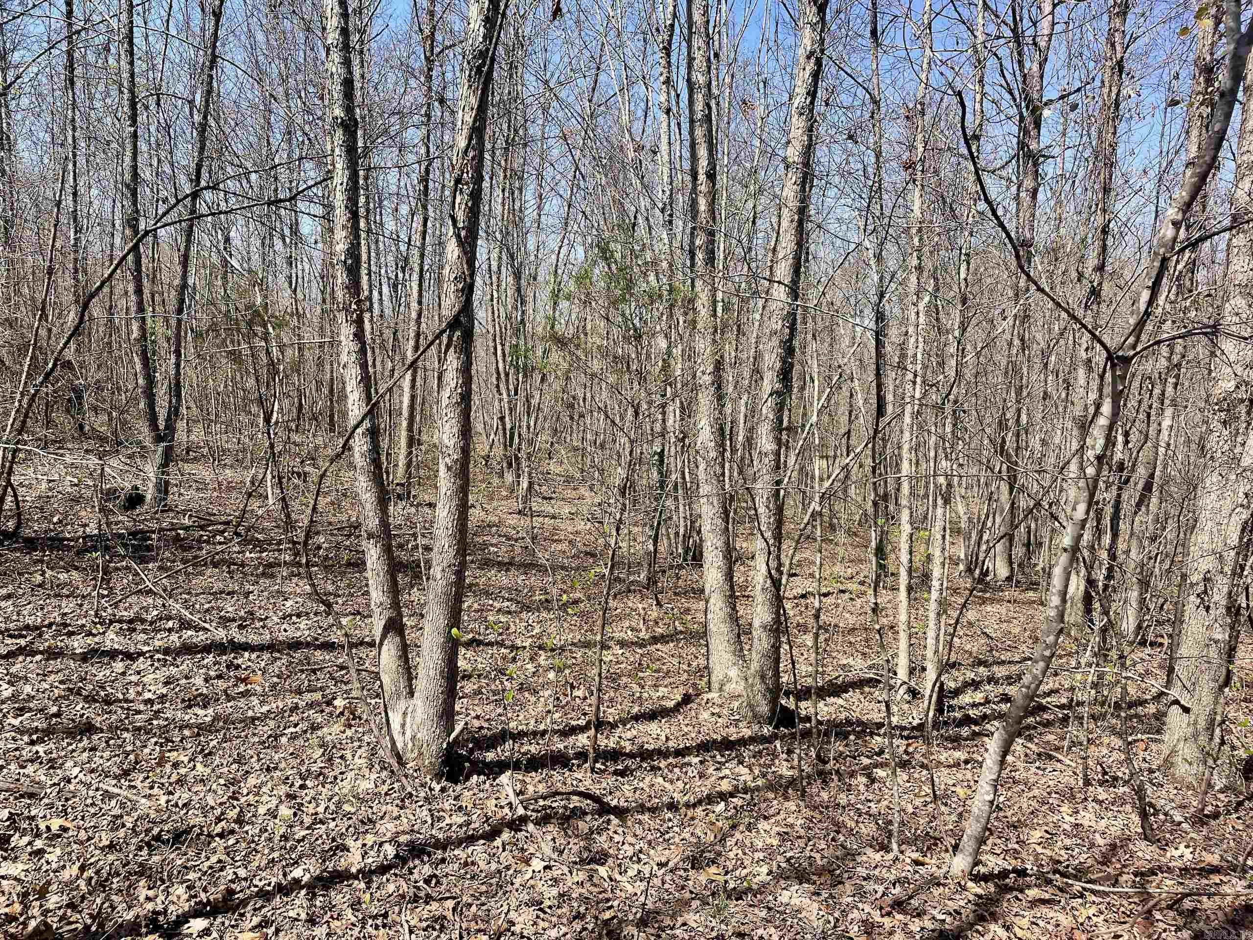 000 Dabney Road Property Photo 17