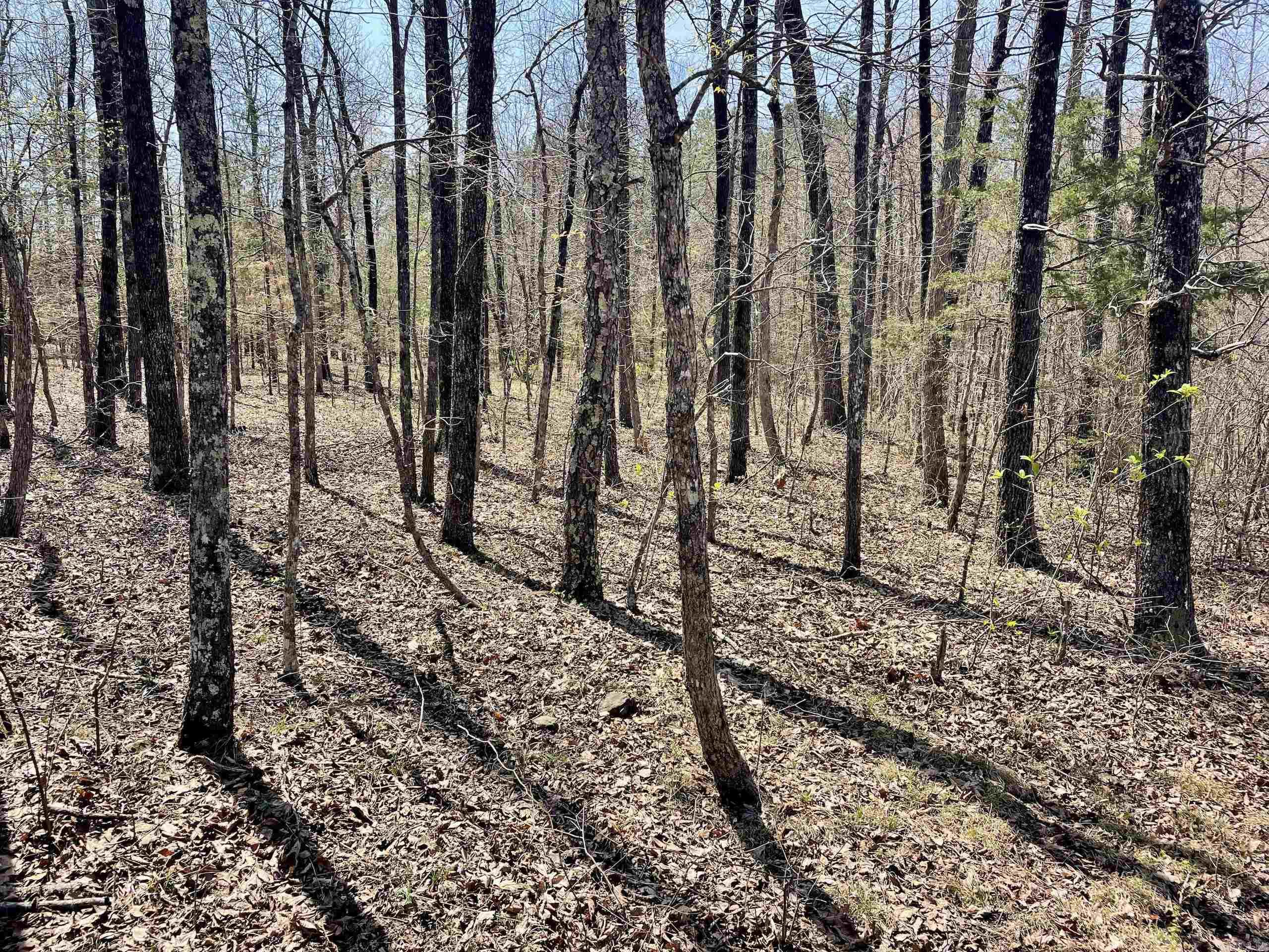 000 Dabney Road Property Photo 20