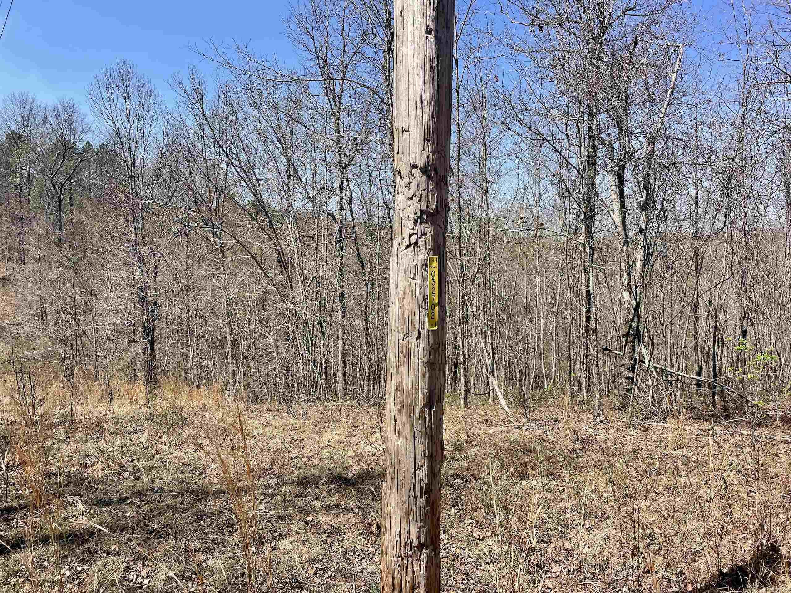 000 Dabney Road Property Photo 22