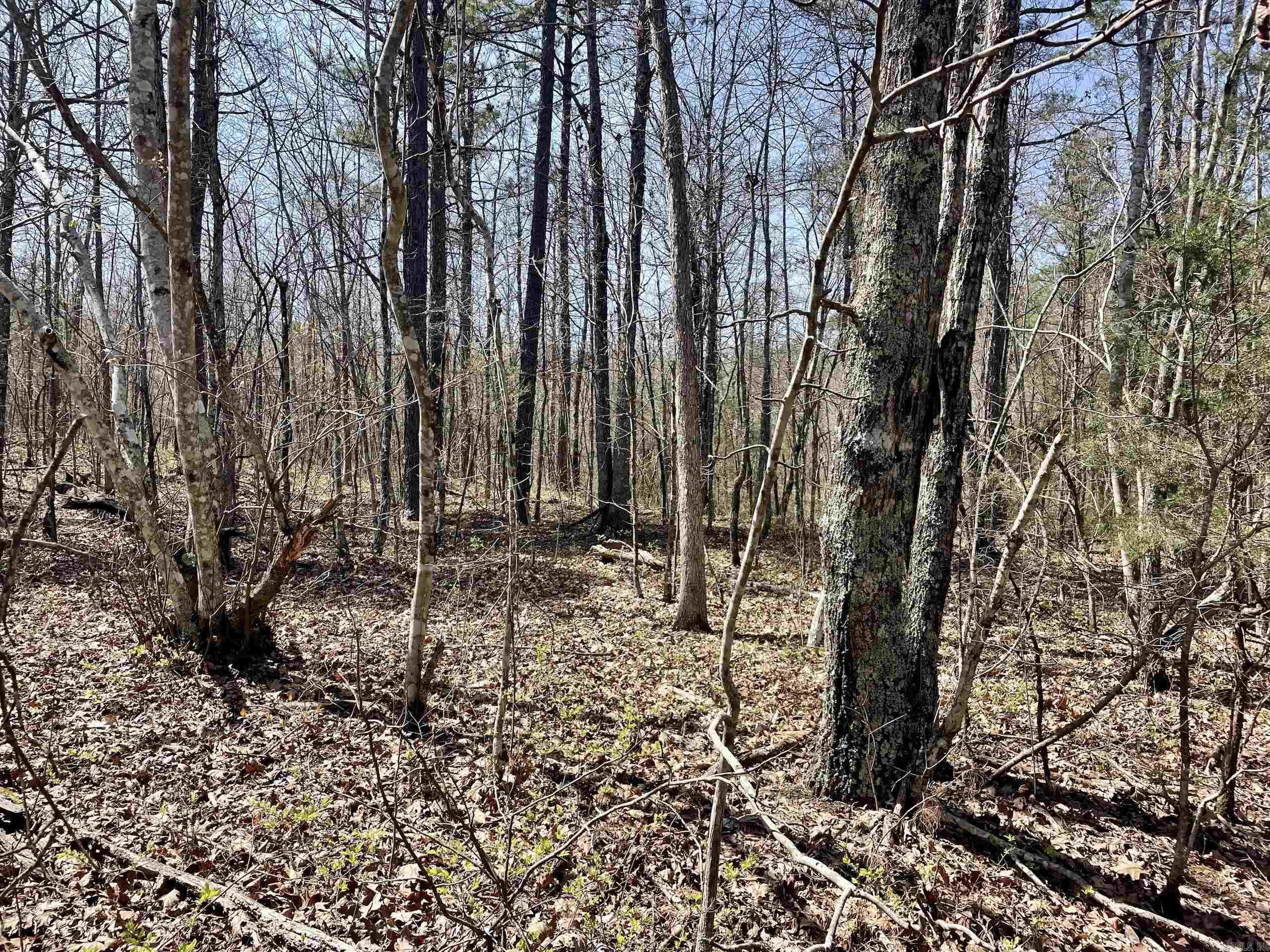 000 Dabney Road Property Photo 25