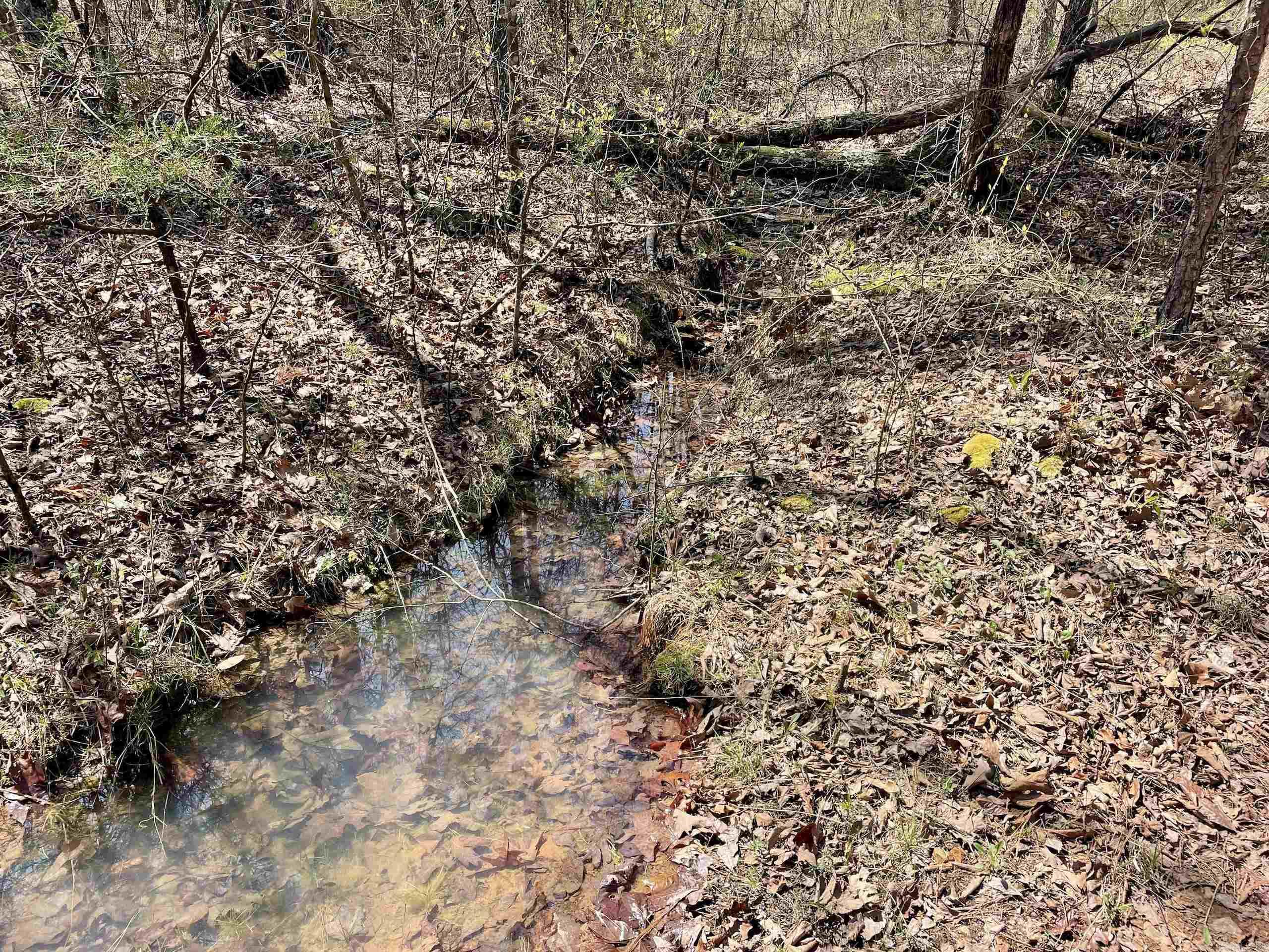000 Dabney Road Property Photo 28
