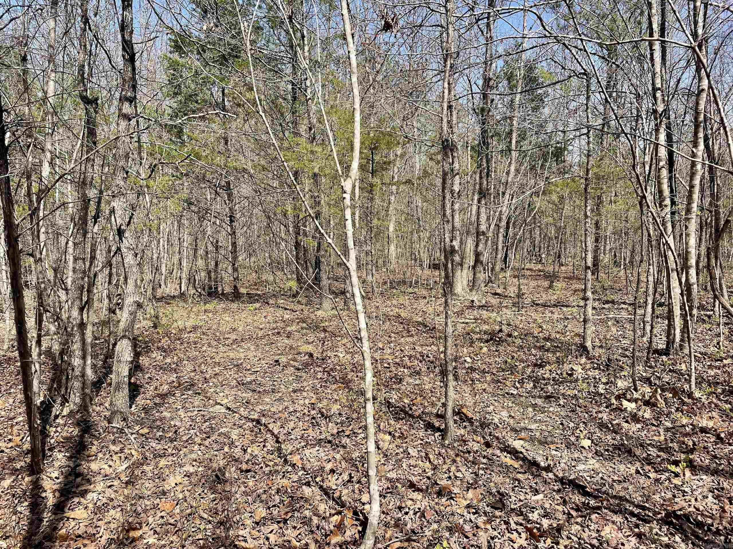 000 Dabney Road Property Photo 29