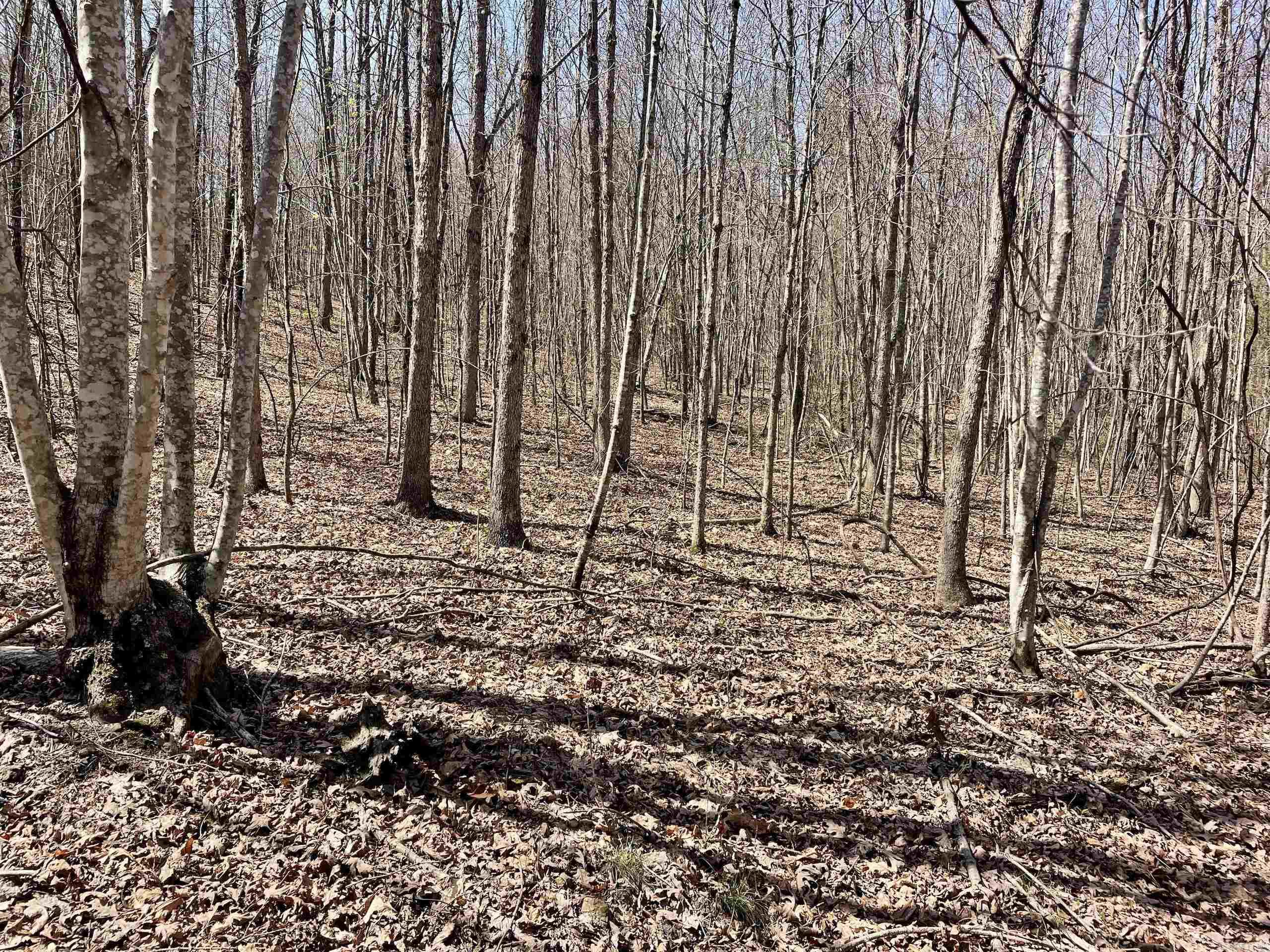 000 Dabney Road Property Photo 30