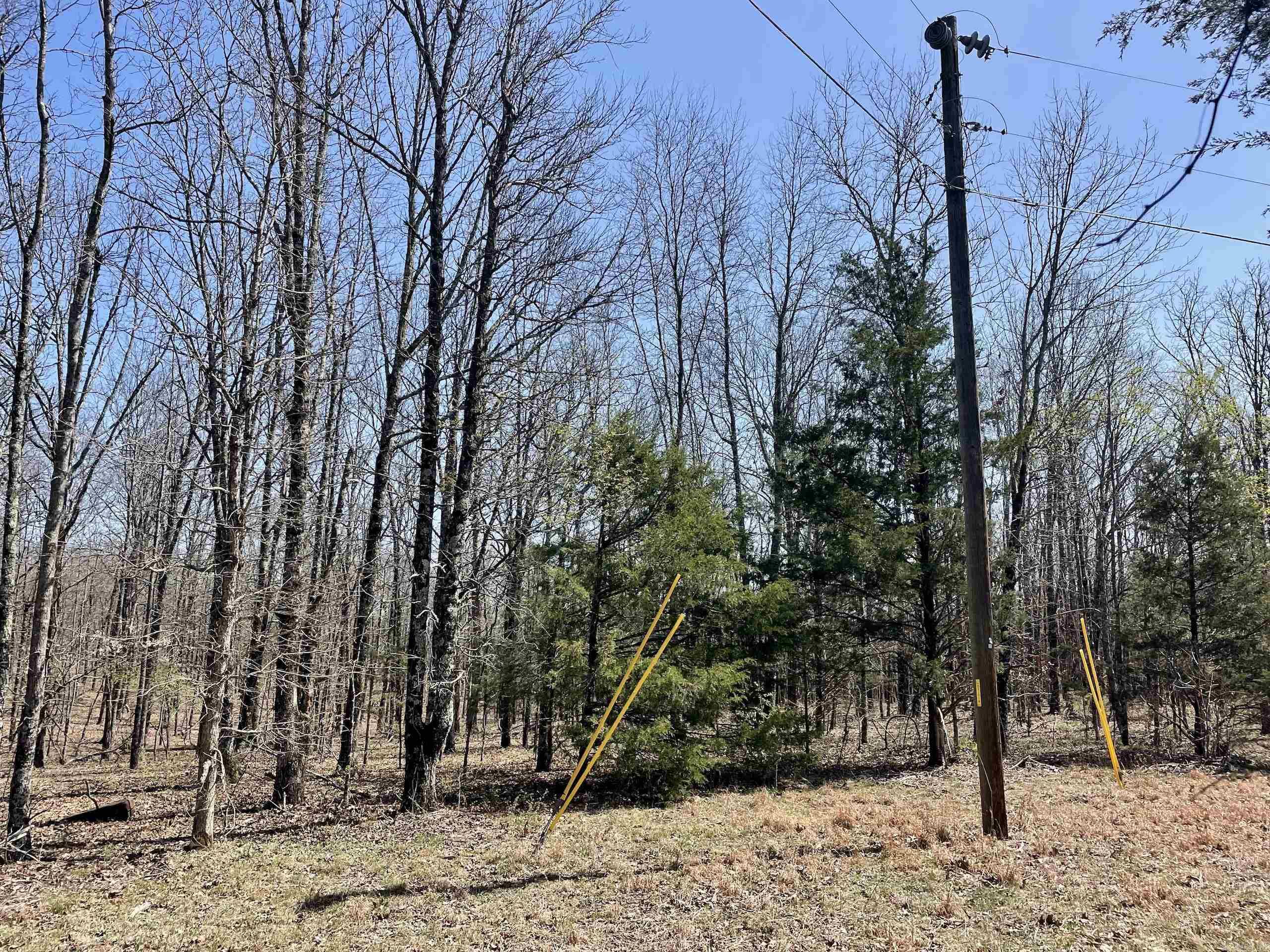 000 Dabney Road Property Photo 34