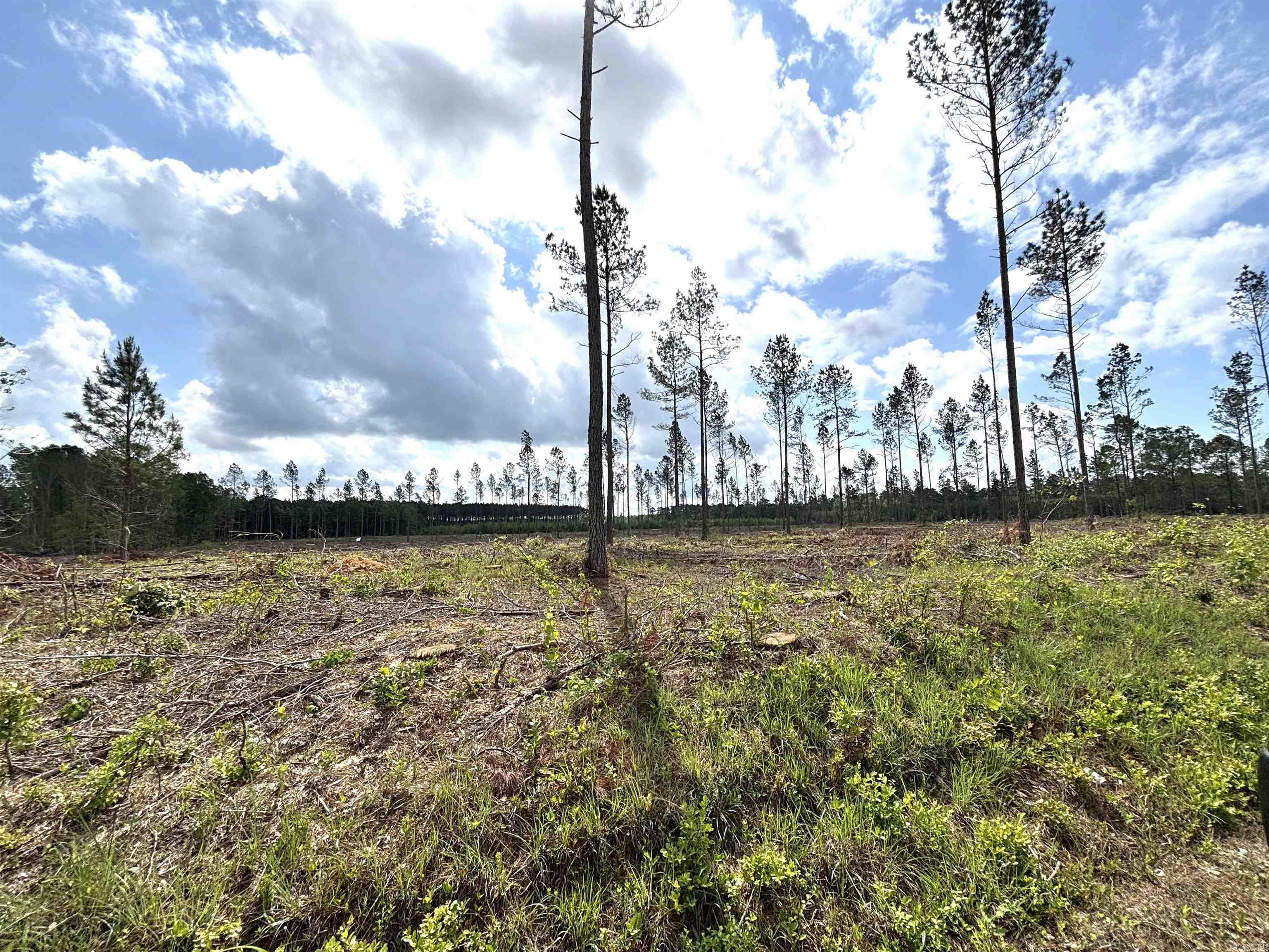 0 Grant County Road 9 (b) Property Photo 2