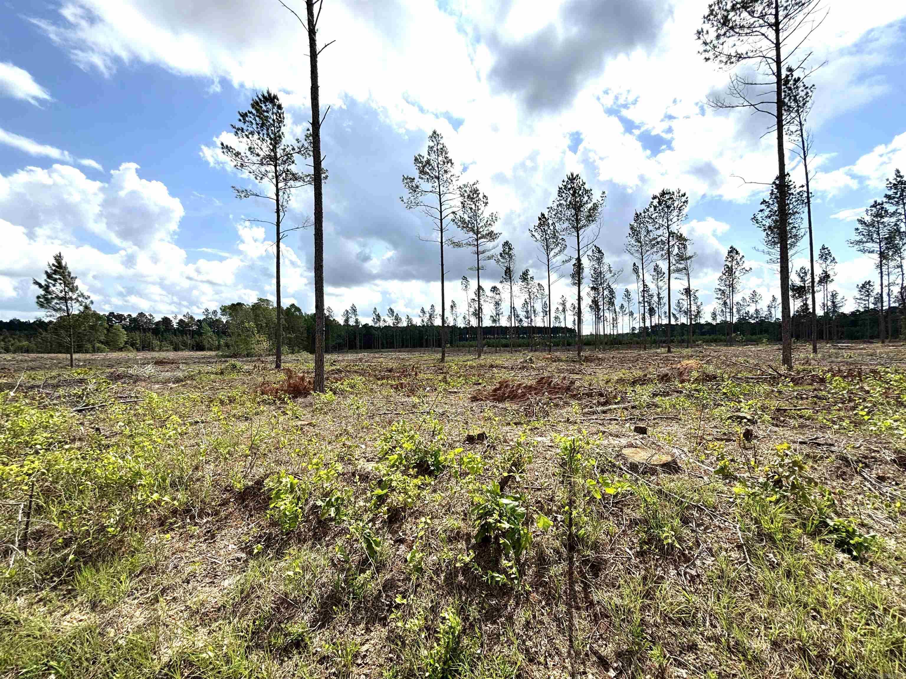 0 Grant County Road 9 (c) Property Photo 2