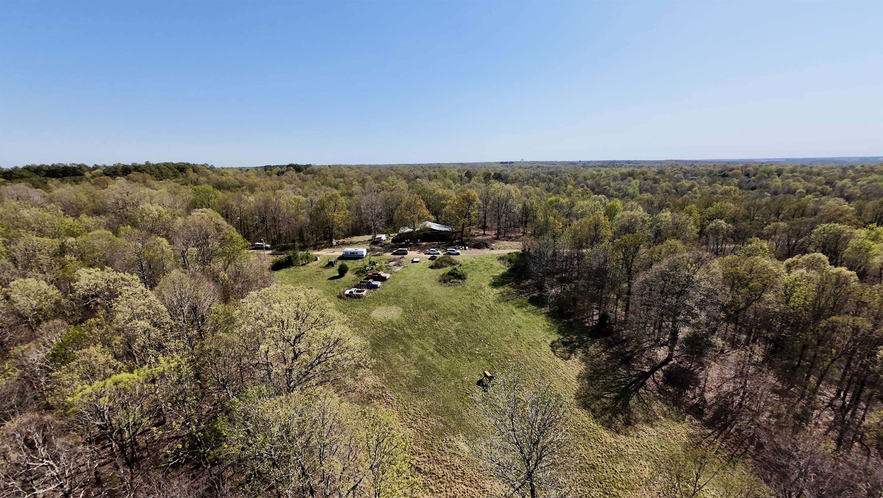 8546 County Road 333 Property Photo 6