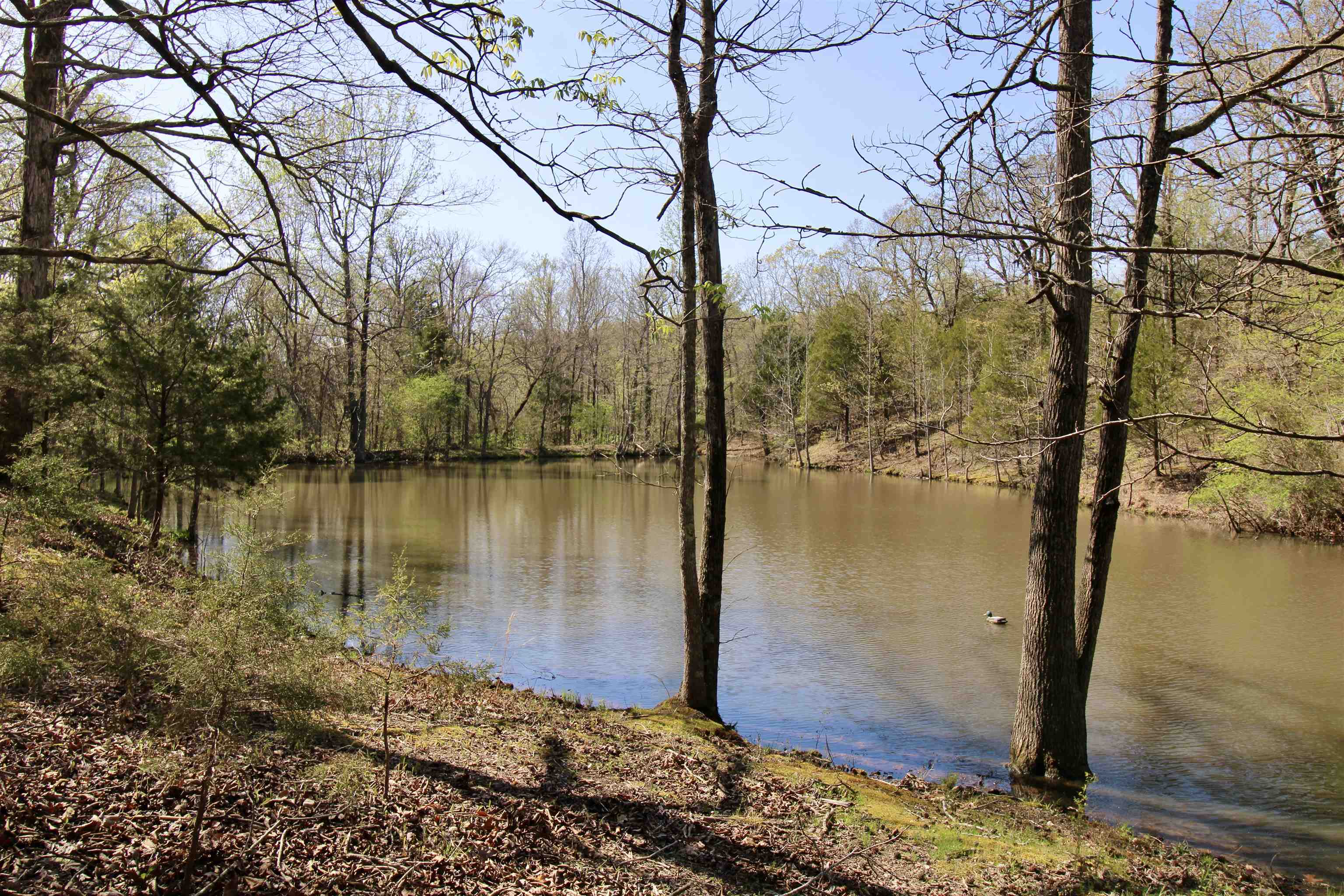 8546 County Road 333 Property Photo 9